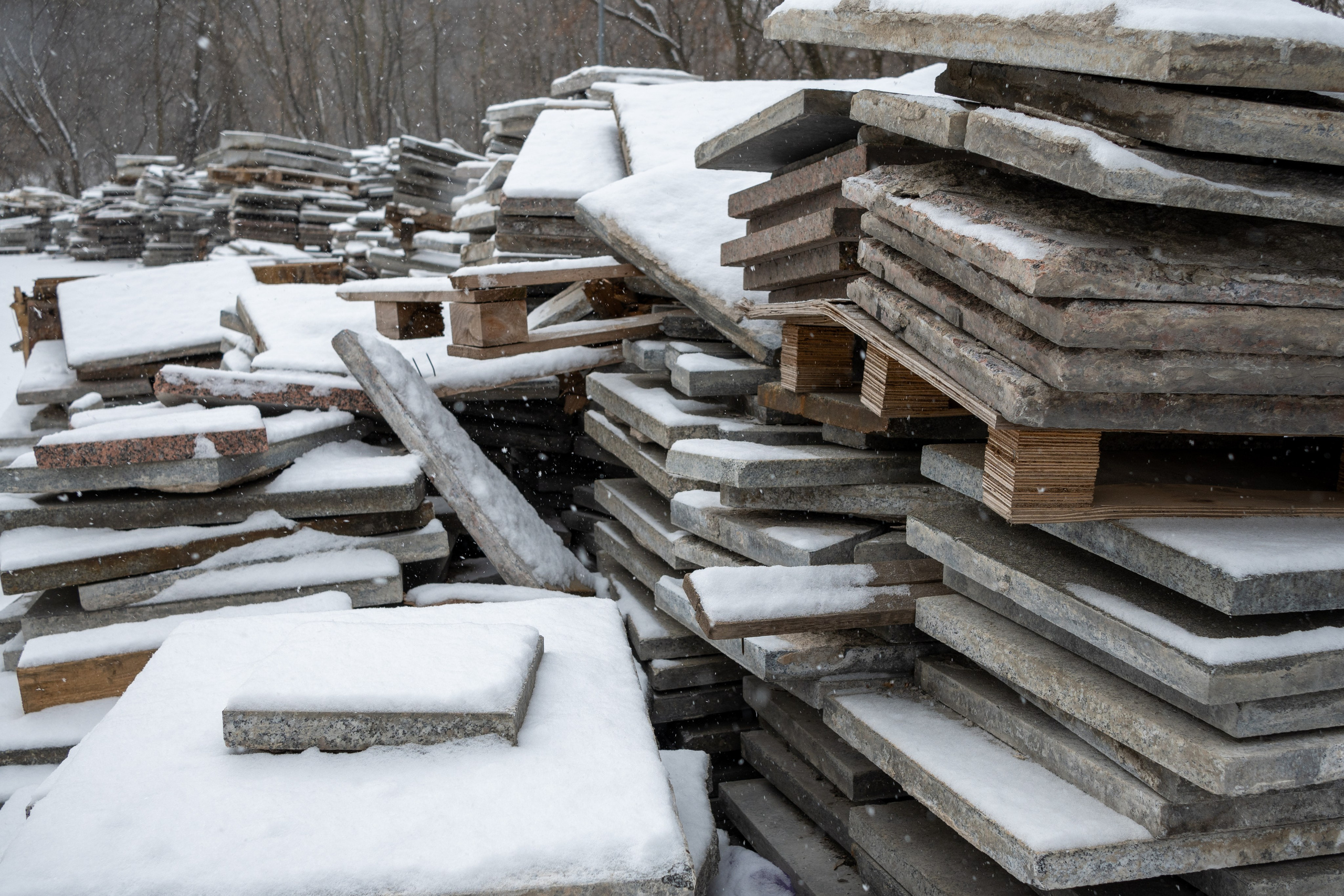 20250216 Нескучный сад. Дмитрий Ремизов. Фотография, как хобби