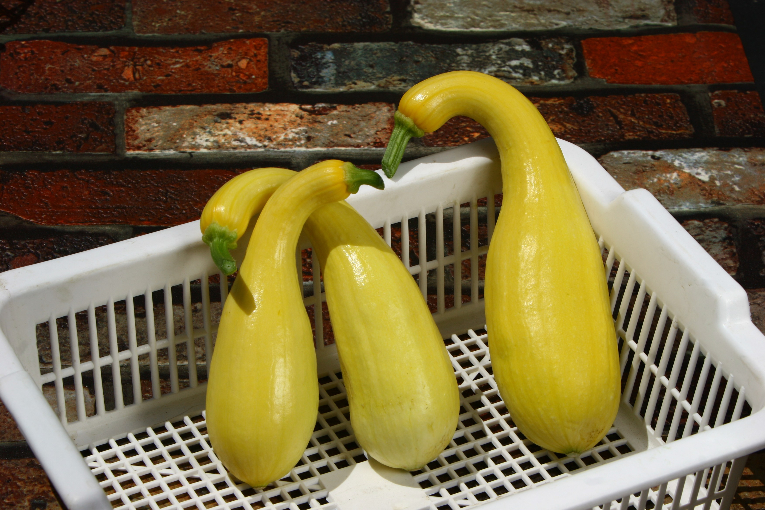 Product photography. The Website of the Photographer Vitaly Deni