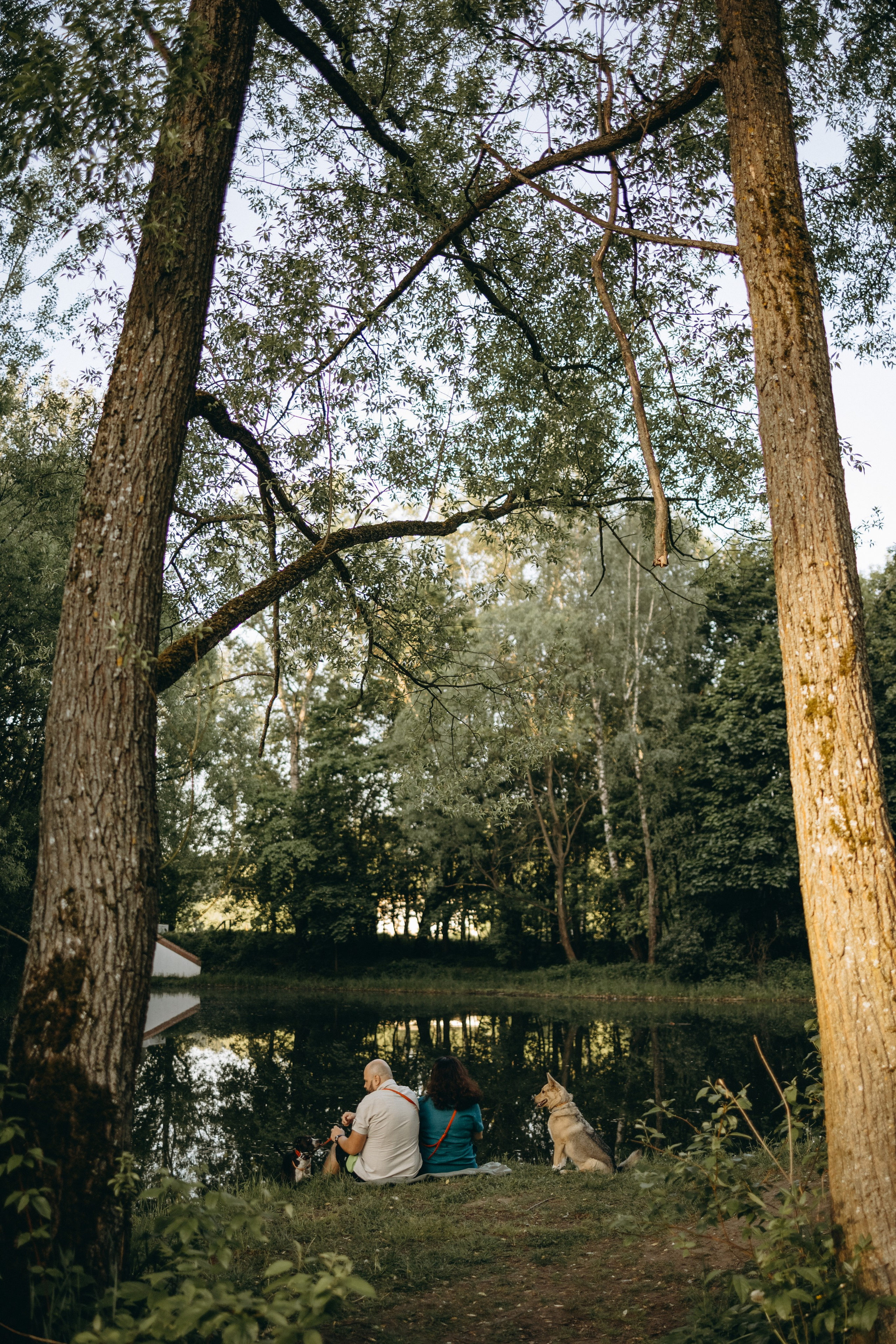 Татьяна, Сергей и их Булочка и Пончик. Фотограф — Анималист | Санкт-Петербург