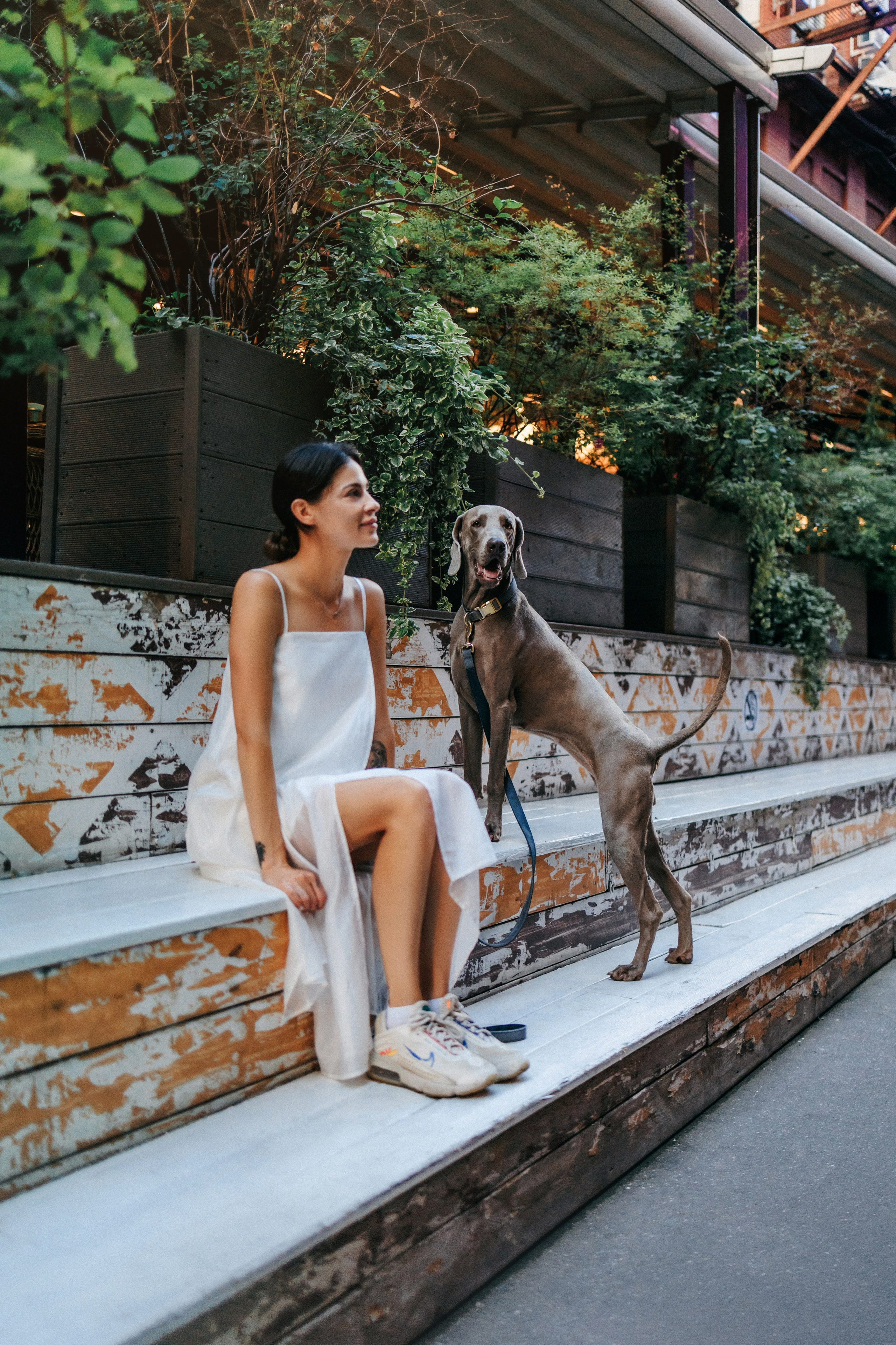 Соня и Майли. Фотограф-анималист Елена Радченко, Москва
