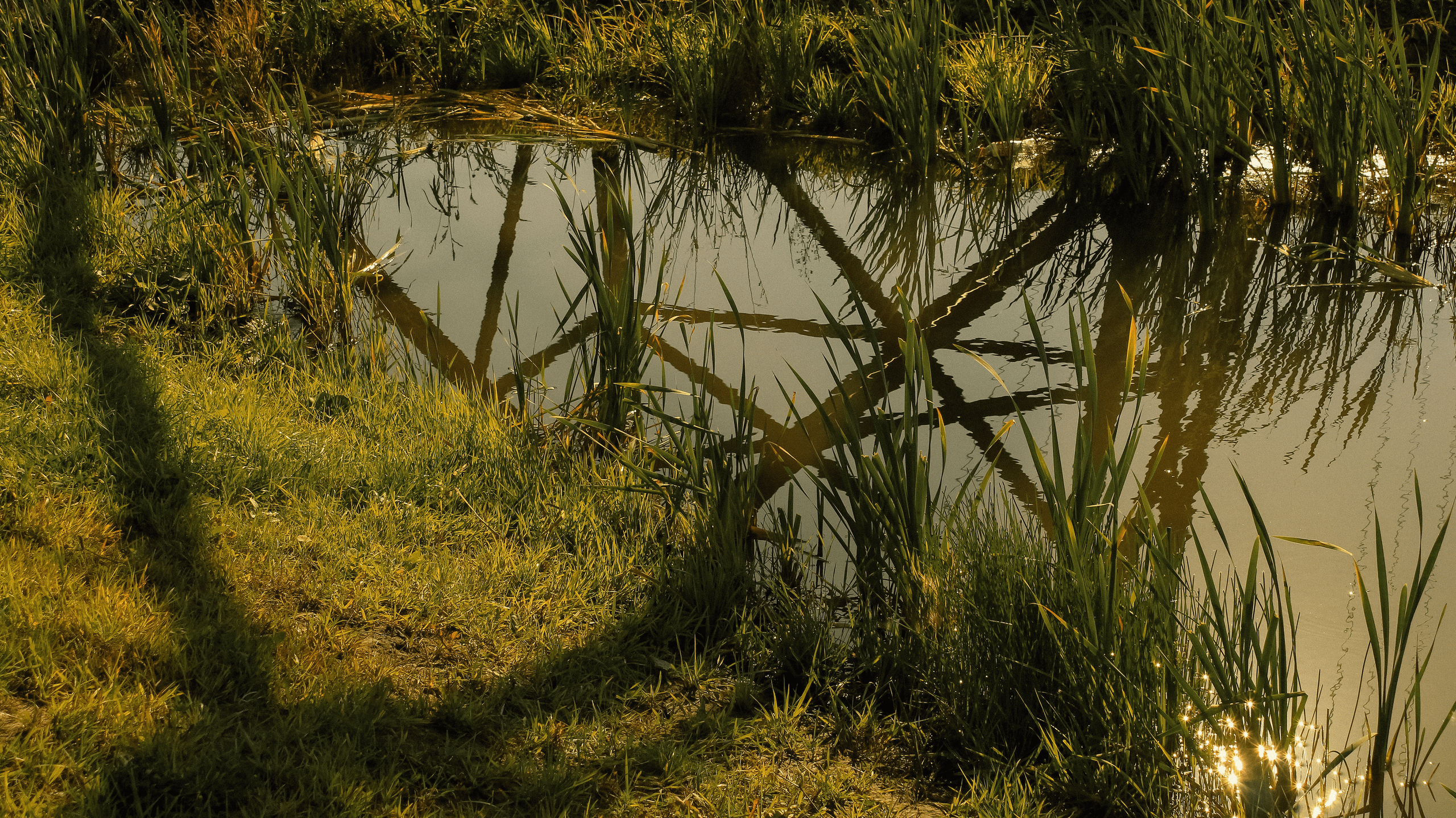 TMN summer '24. Фотограф/дизайнер в Екатеринбурге Хитрый Дмитрий