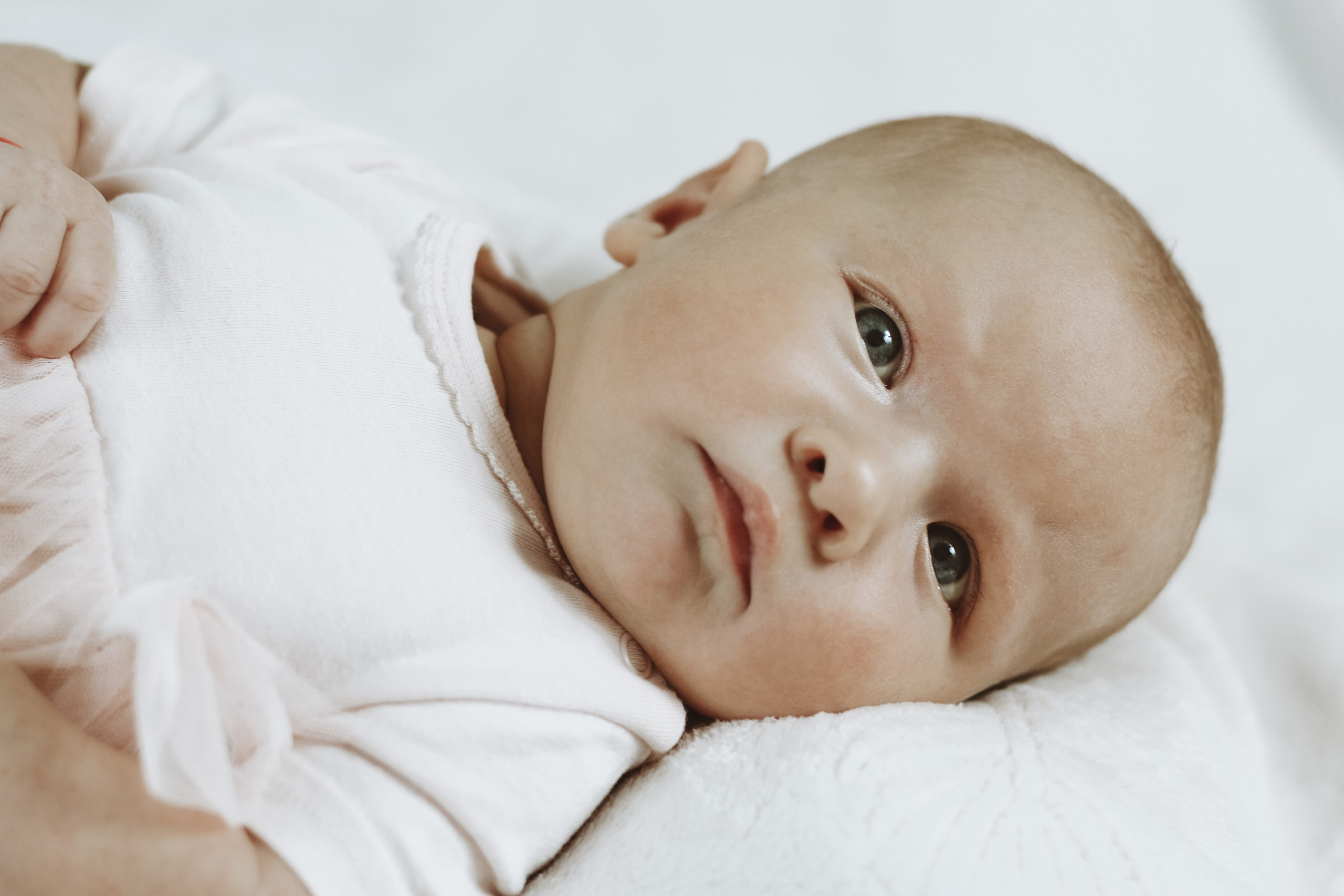 2 месяца. Алиса Томшина — Фотограф / Видеограф