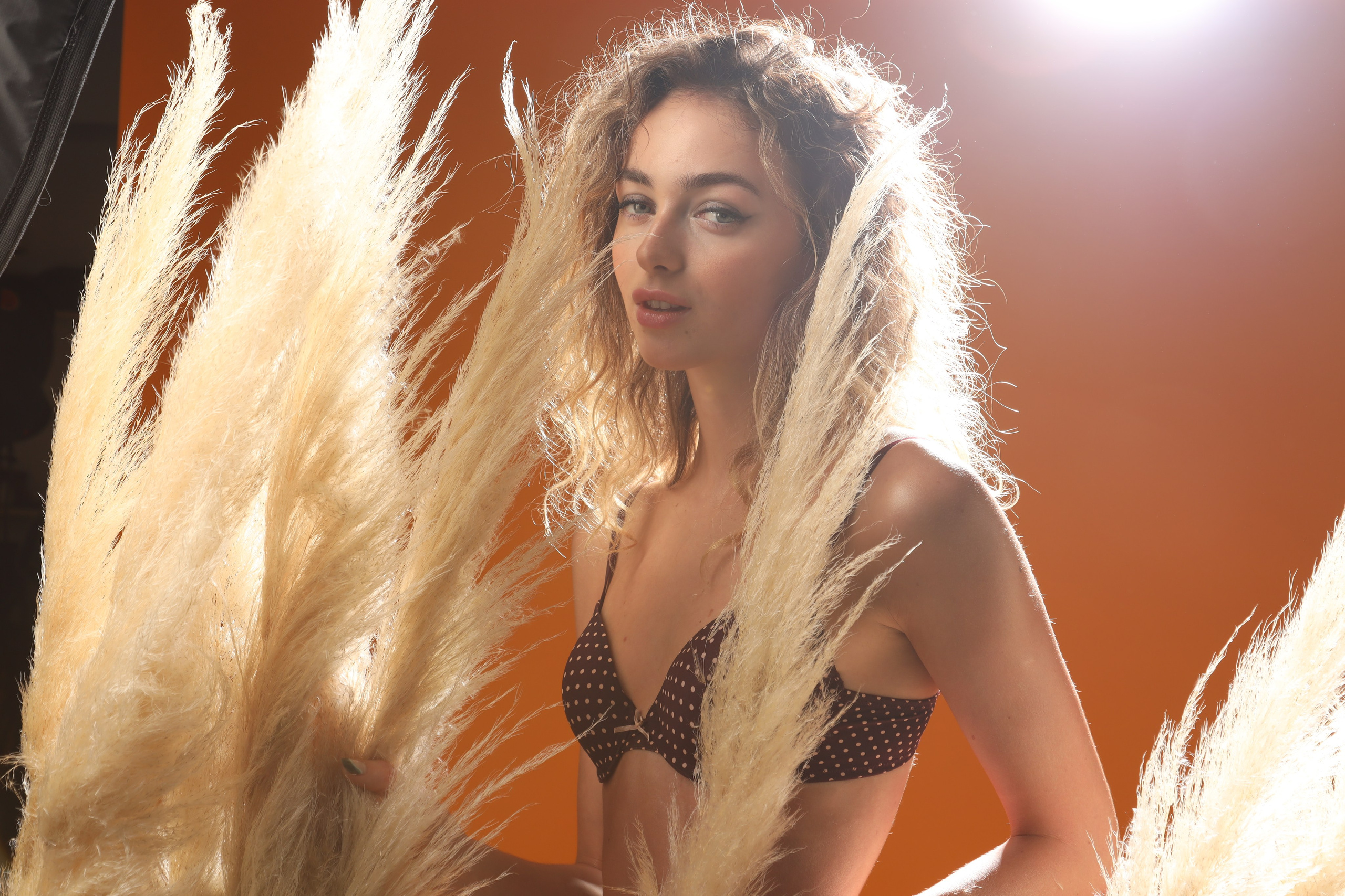 Солнце. Съемка в студии под ваш запрос, студийные съемки, фотографии архитектурных объектов — Александр Евстигнеев — фотограф Москва