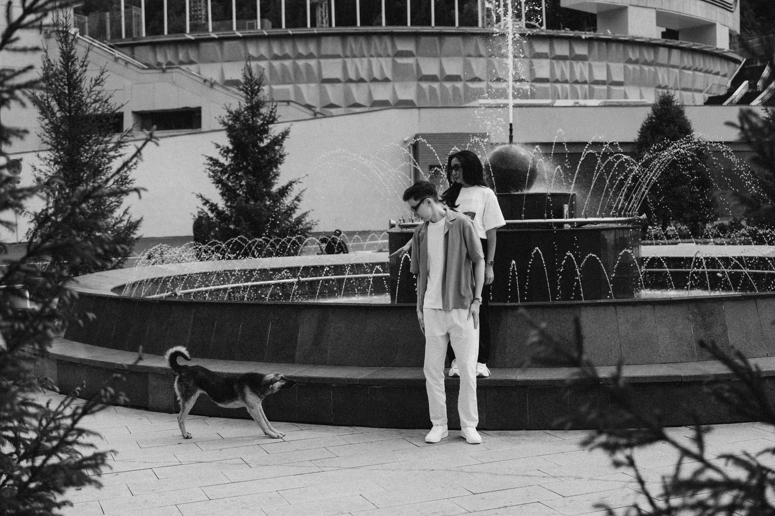 Aziz & Dana. Galam media