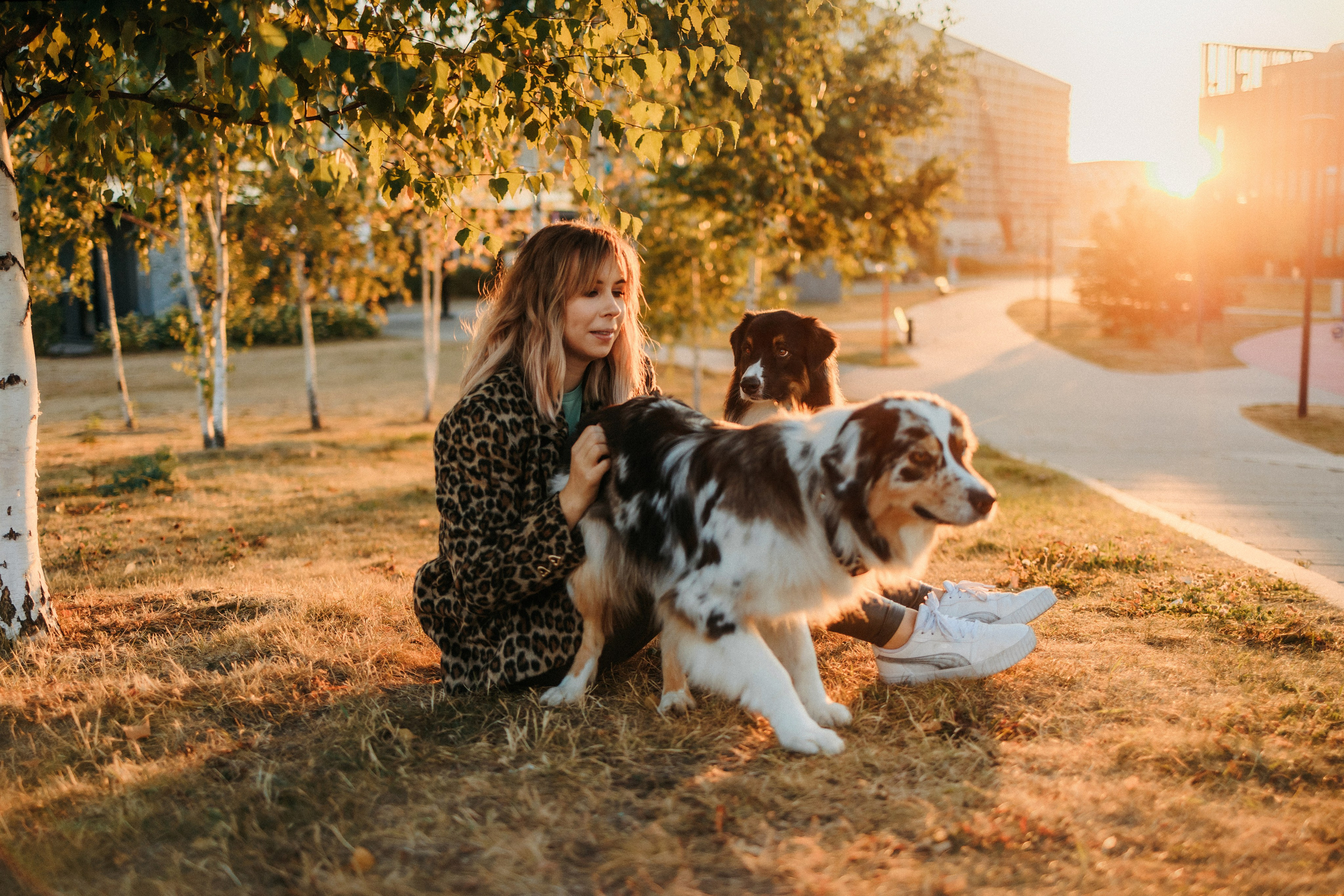 Аня, Чарли и Ева. Фотограф-анималист Елена Радченко, Москва