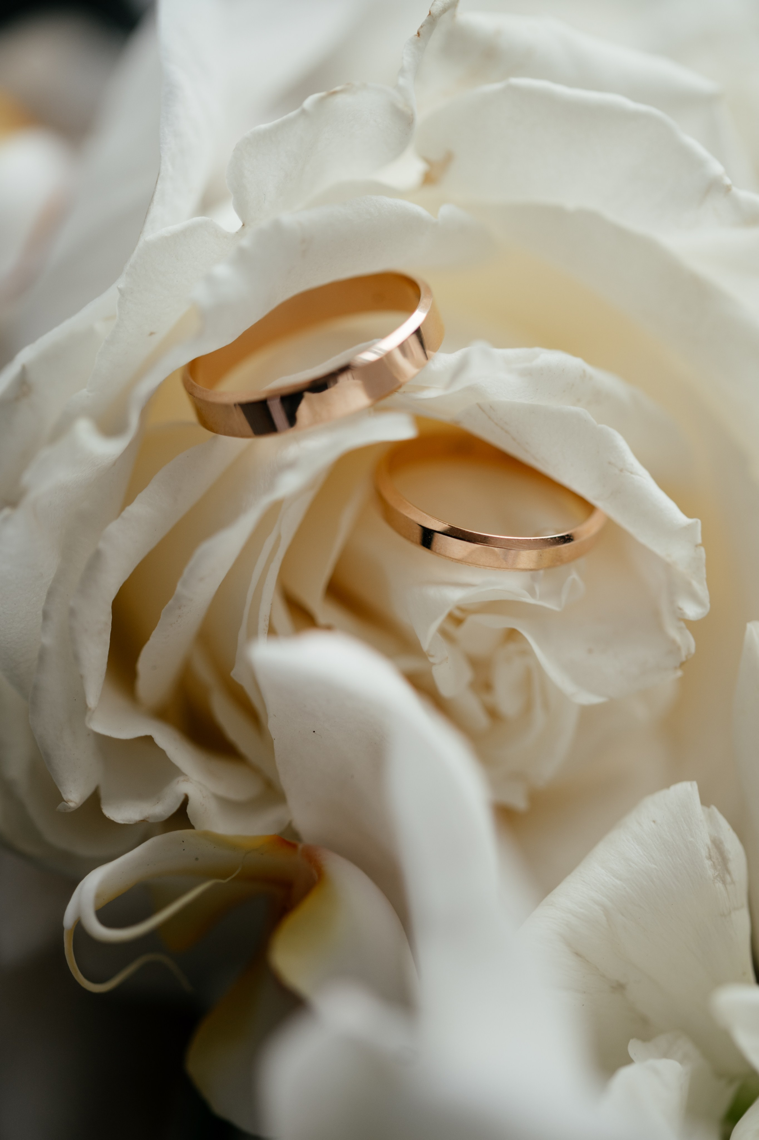 Александра и Владислав. Свадебный и студийный фотограф Ирина Котикова