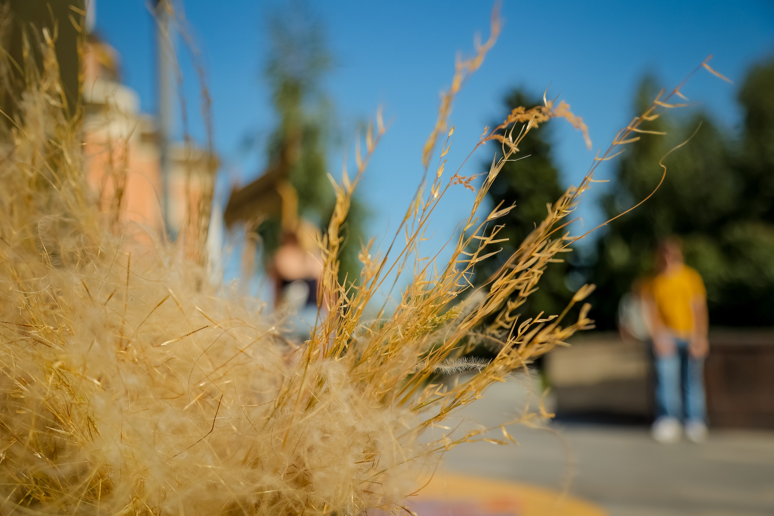 Фестиваль РГО. Фотограф и видеограф в Москве Ирина Фомочкина