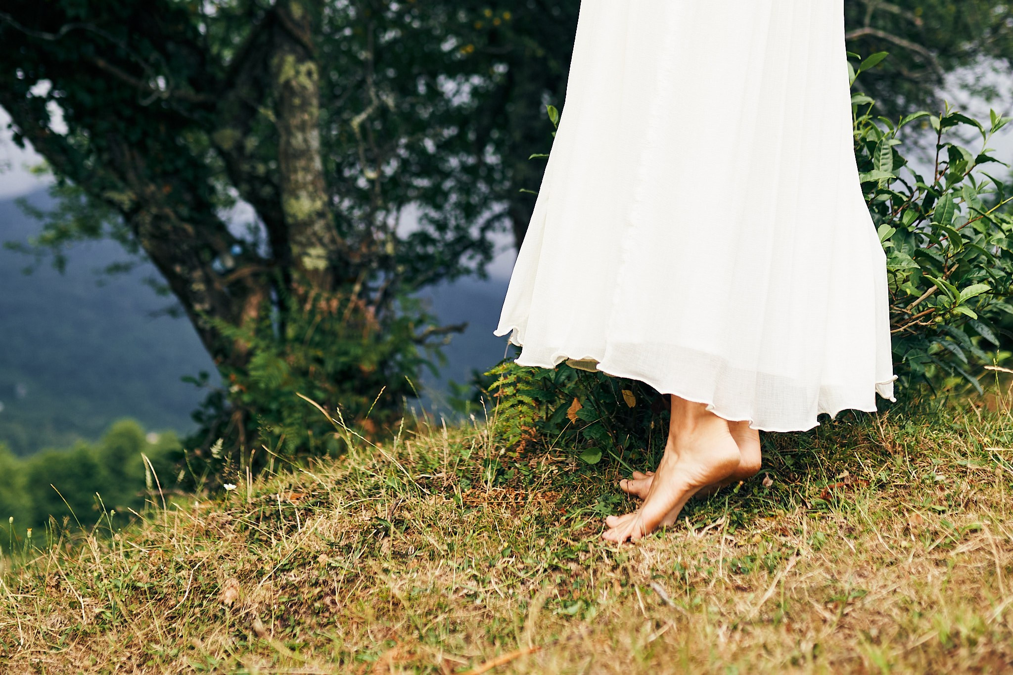 Чайные плантации. Фотограф в Сочи Катя Гончарова