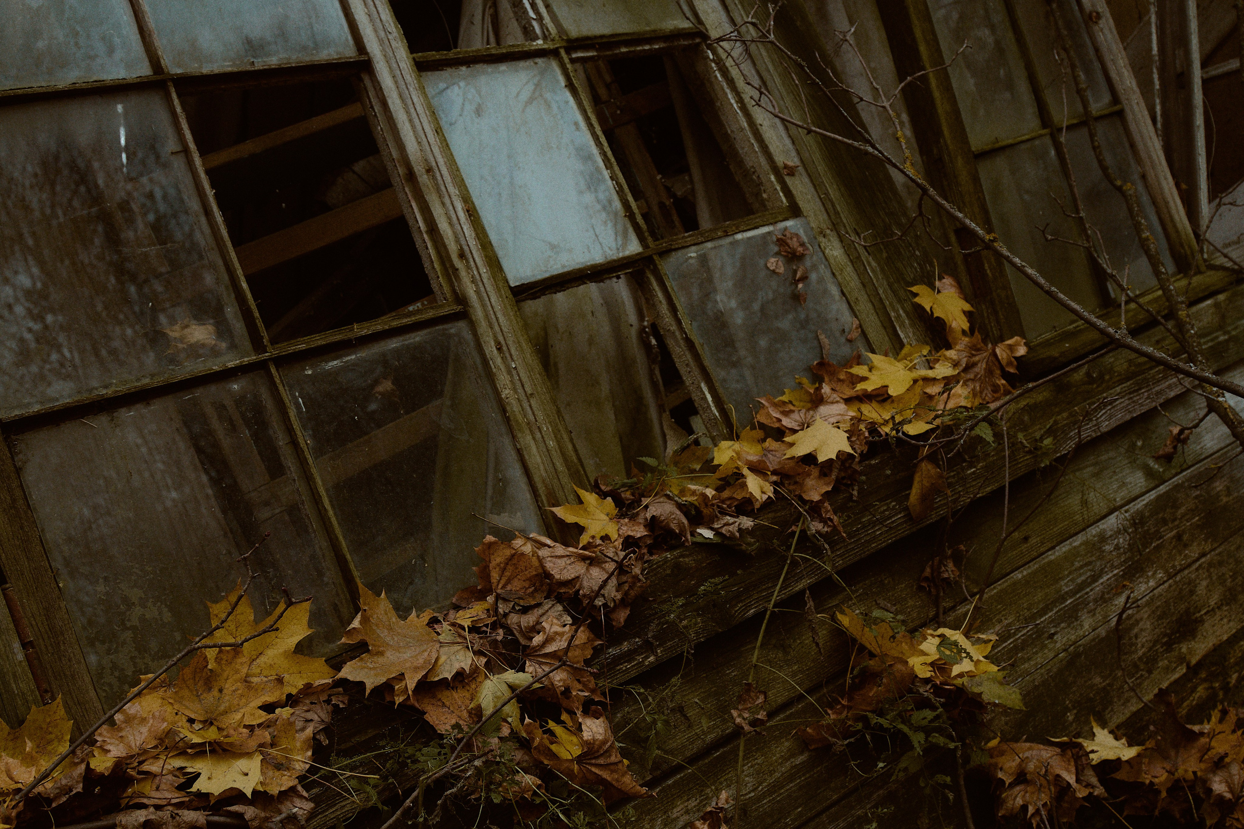 Русская сказка. Фотограф лавстори Москва/МО Приятелева Ангелина