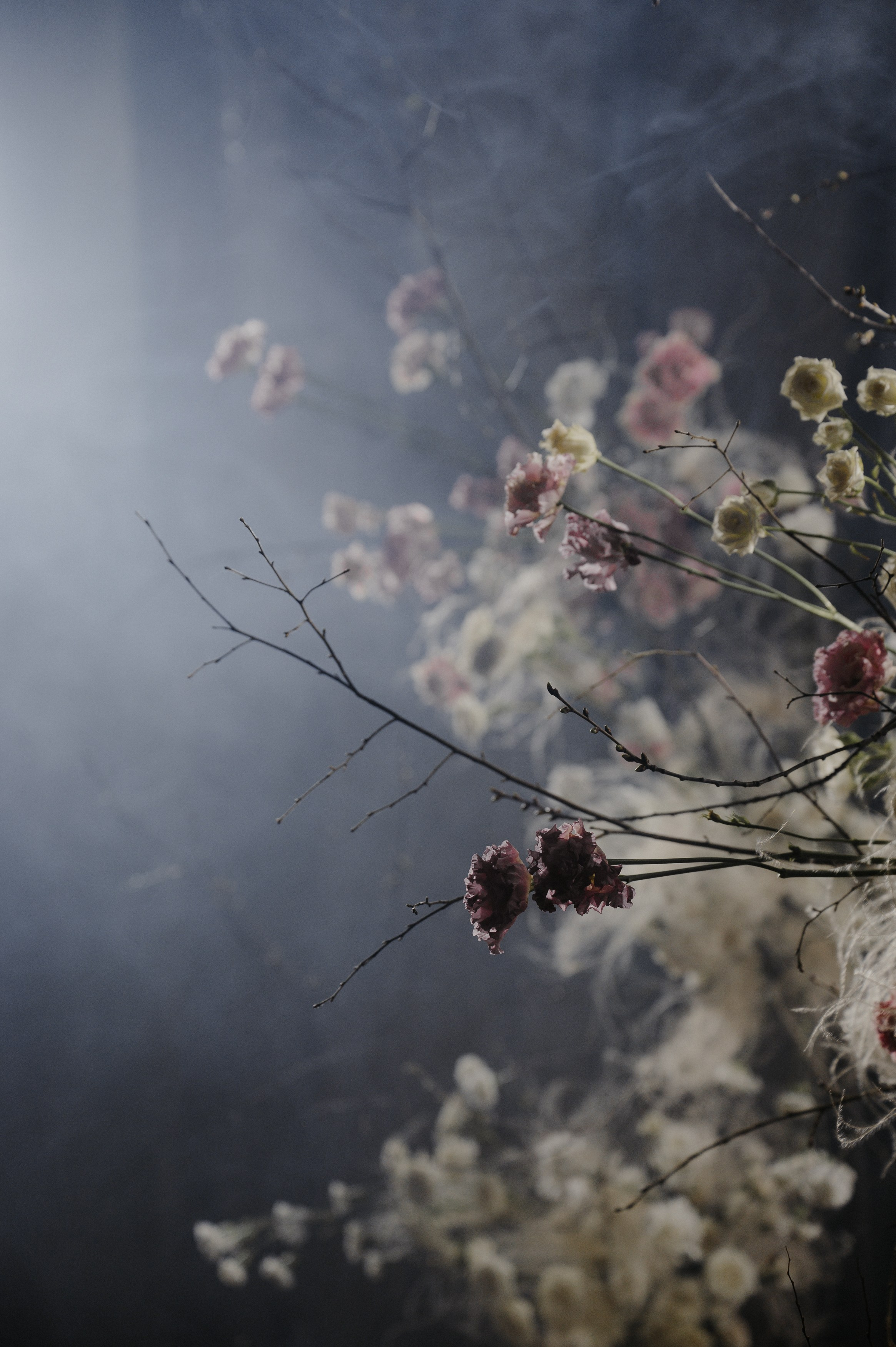 Сва. Флористика и декор в Санкт-Петербурге