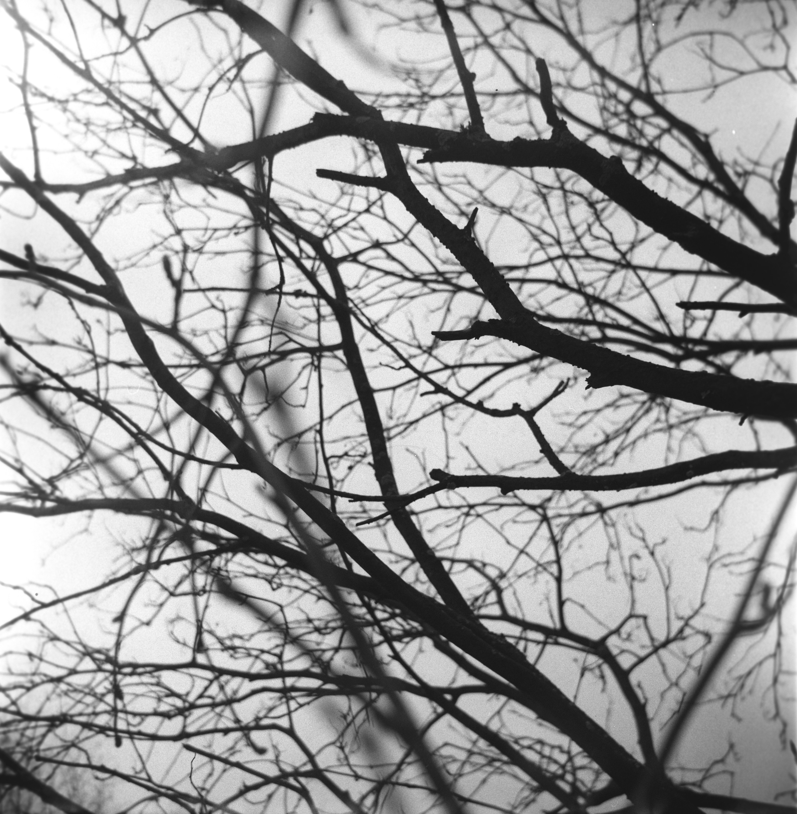 Катя. Катерина Аникеева | Фотограф | Екатеринбург