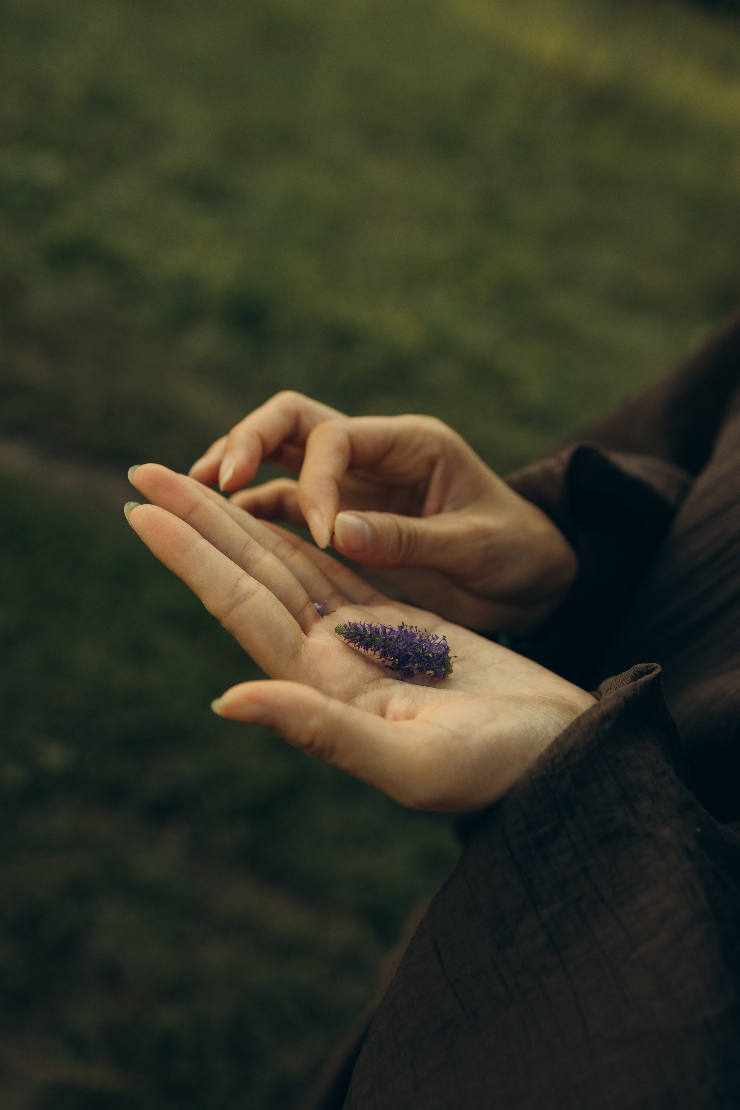 На природе. Семейный фотограф Новосибирск Фотограф на выписку Новосибирск