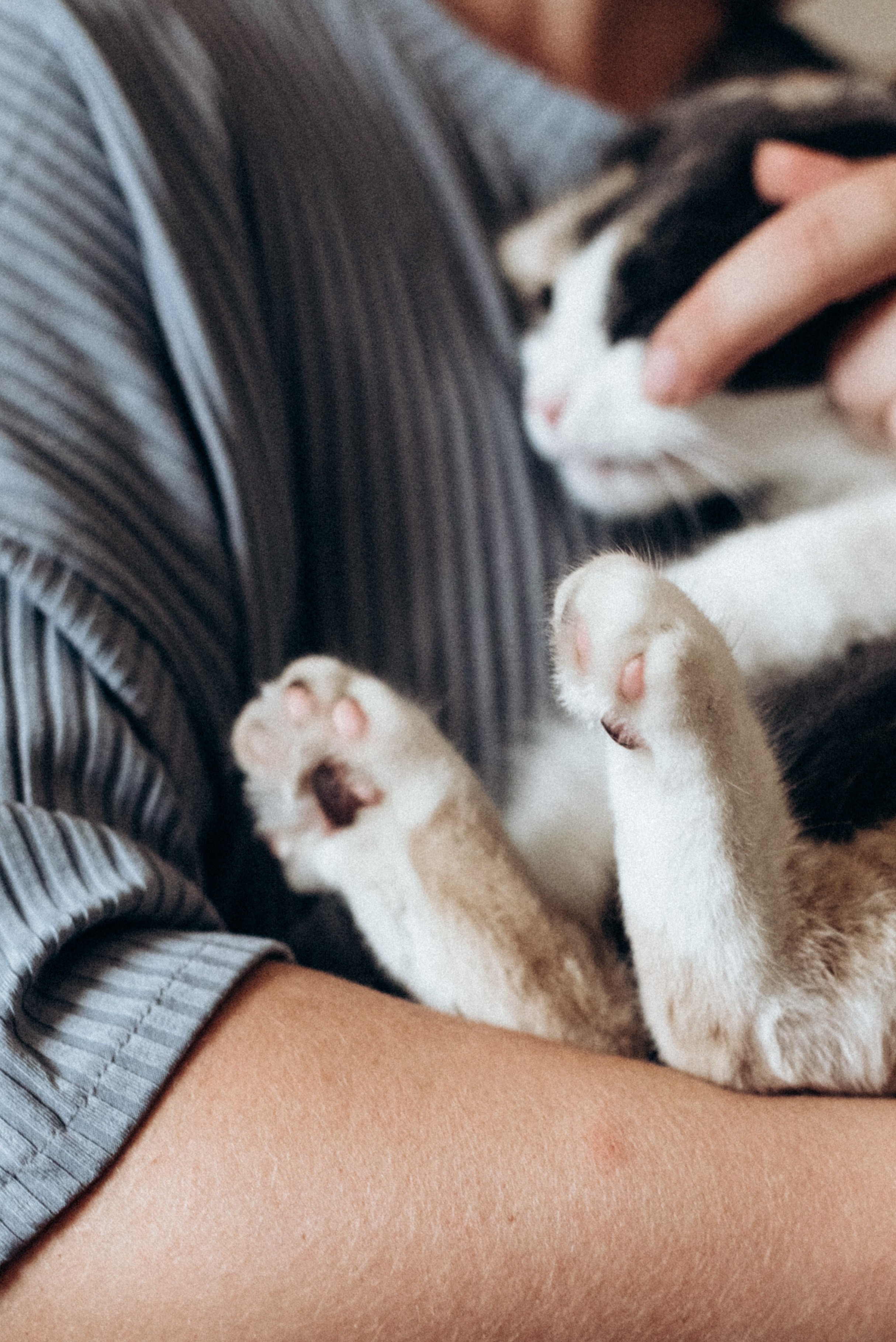 ХВОСТАТЫЕ. Дом обретенный. Детский и семейный фотограф выпускной альбом Приморско-Ахтарск