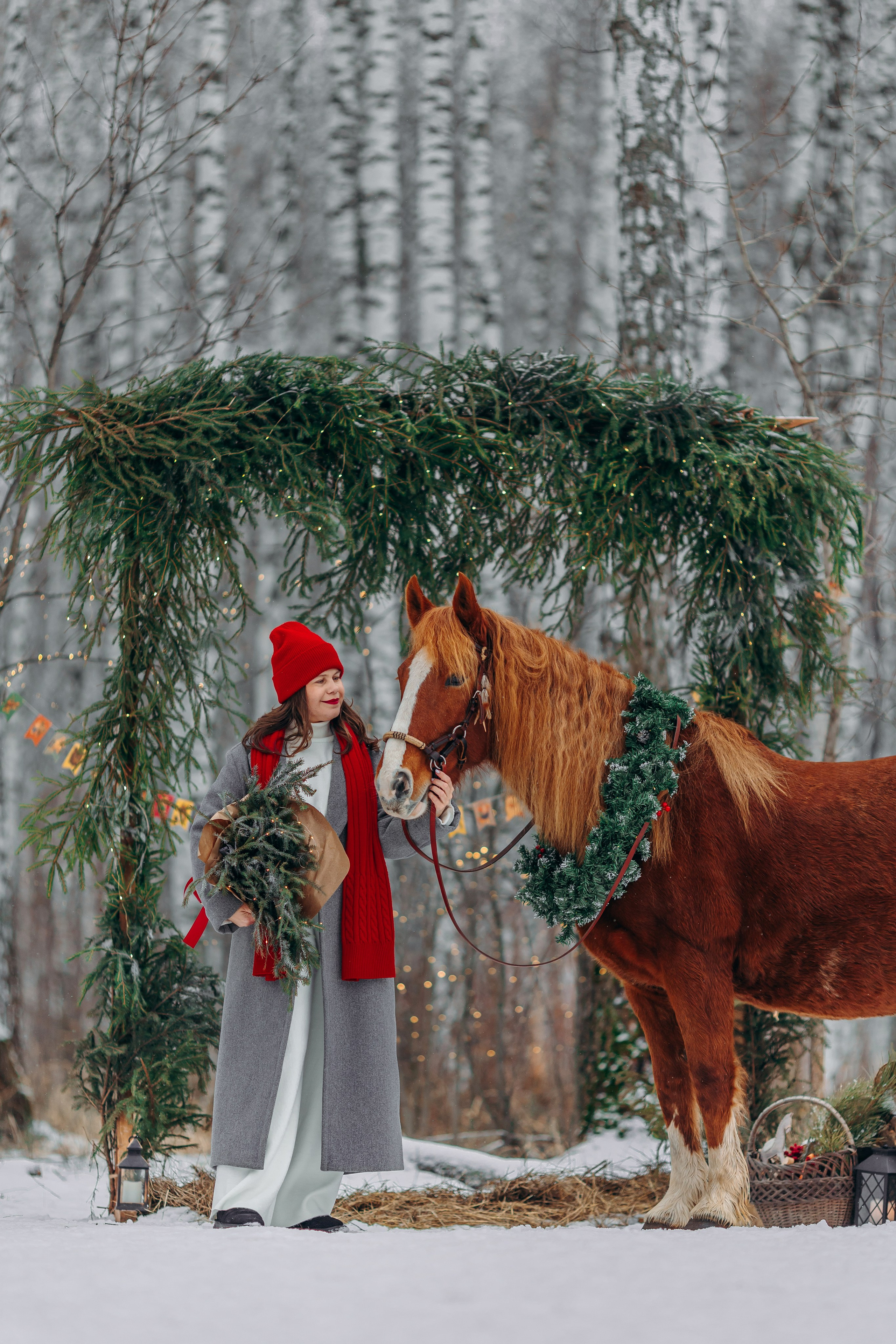 Тариф Новогодний 2025-2026. Анна Молчанова конный фотограф в Тюмени | фотосессии с лошадьми Тюмень