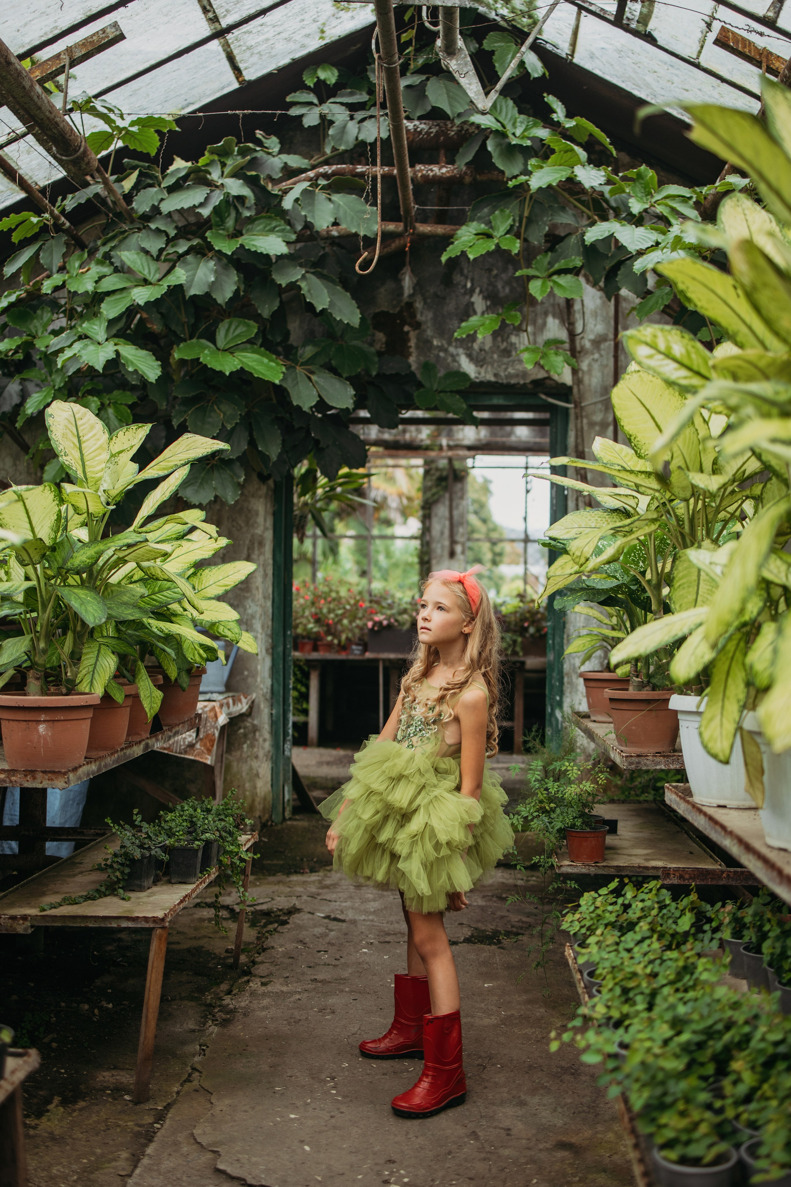 Теплица мацеста. Фотограф Сочи Татьяна Зорина