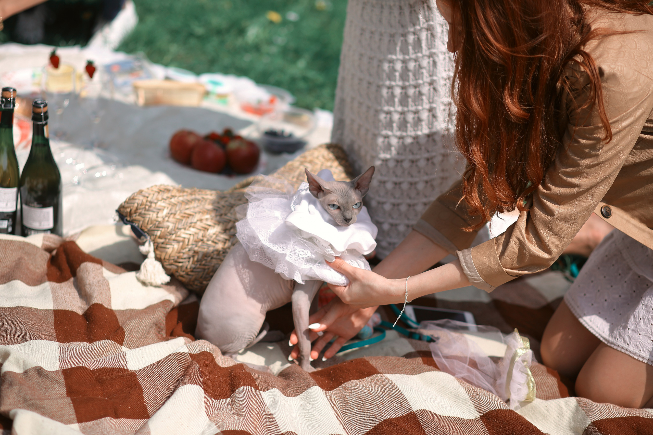 Французский пикник. Фотограф ваших самых ярких событий в Москве и СПБ. Збронская Юлия