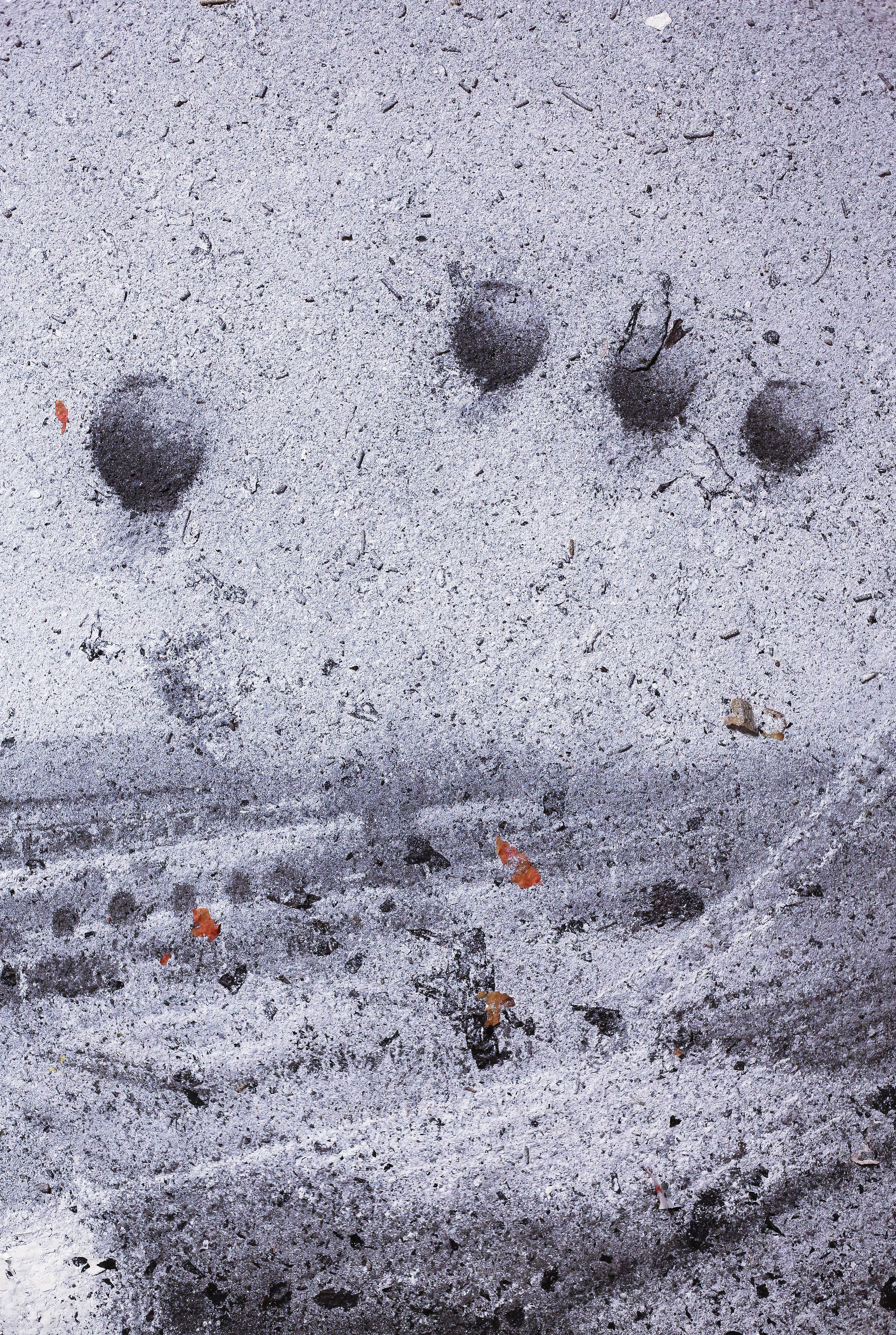 VIII Московская биеннале современного искусства. Дарья Письменюк / Darya Leitstern — фотограф, музыкант, журналист, путешественник