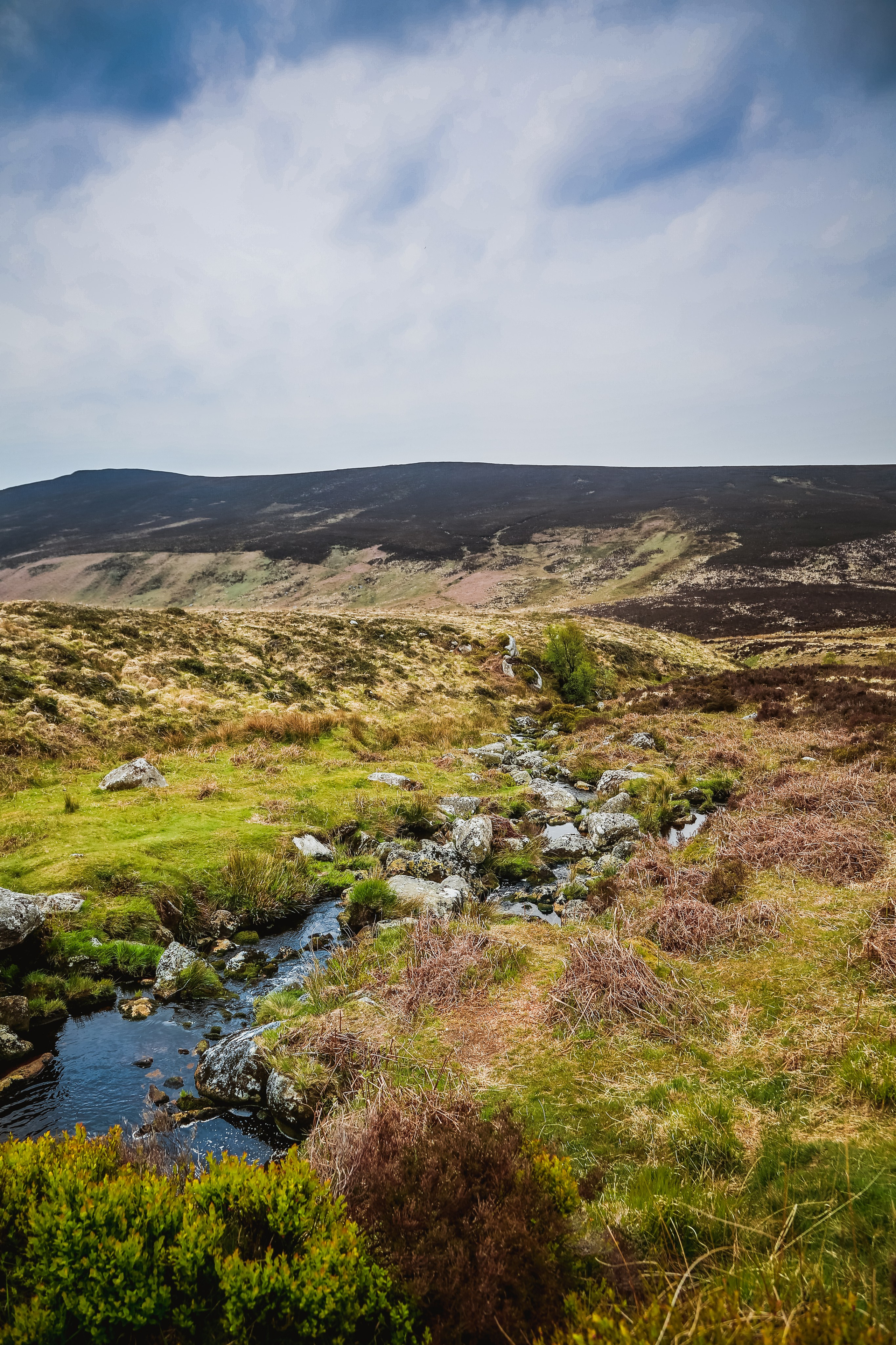 Ирландия: Горы Уиклоу. Дарья Письменюк / Darya Leitstern — фотограф, музыкант, журналист, путешественник