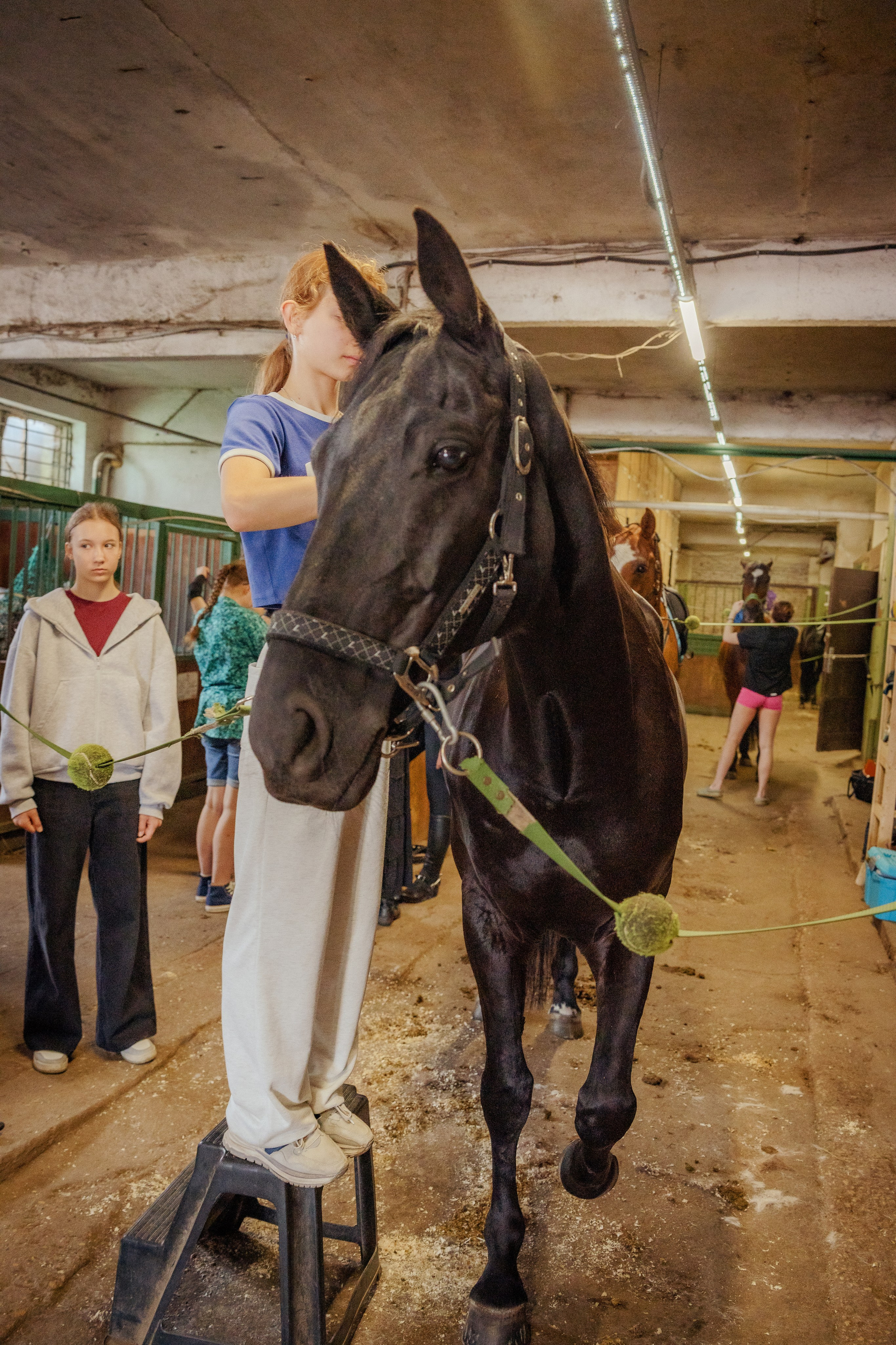 Конный клуб Горки. Портретный и семейный фотограф в Москве/Видное