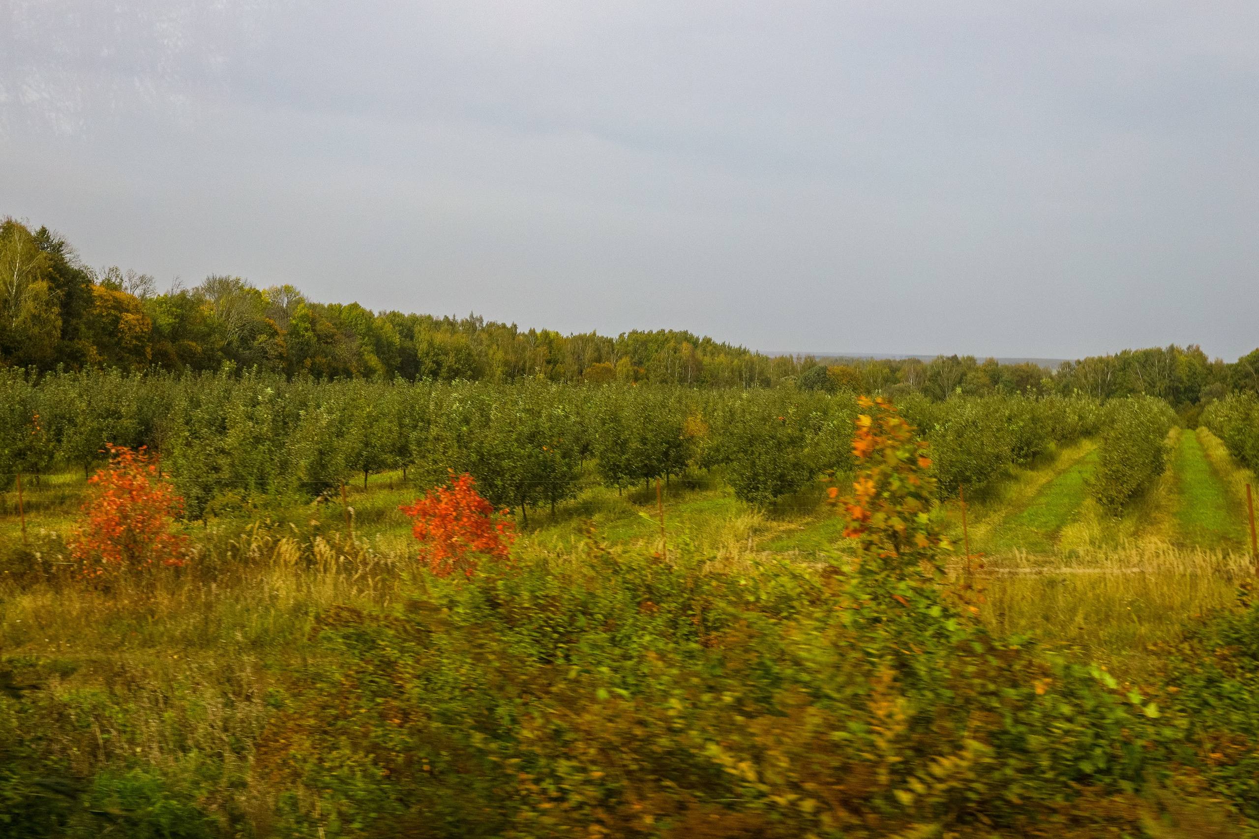 Поездка в Белев и на производство пастилы. Фотограф в Туле Крупский АнДРей. Фотостудия «КАДР71» в Туле