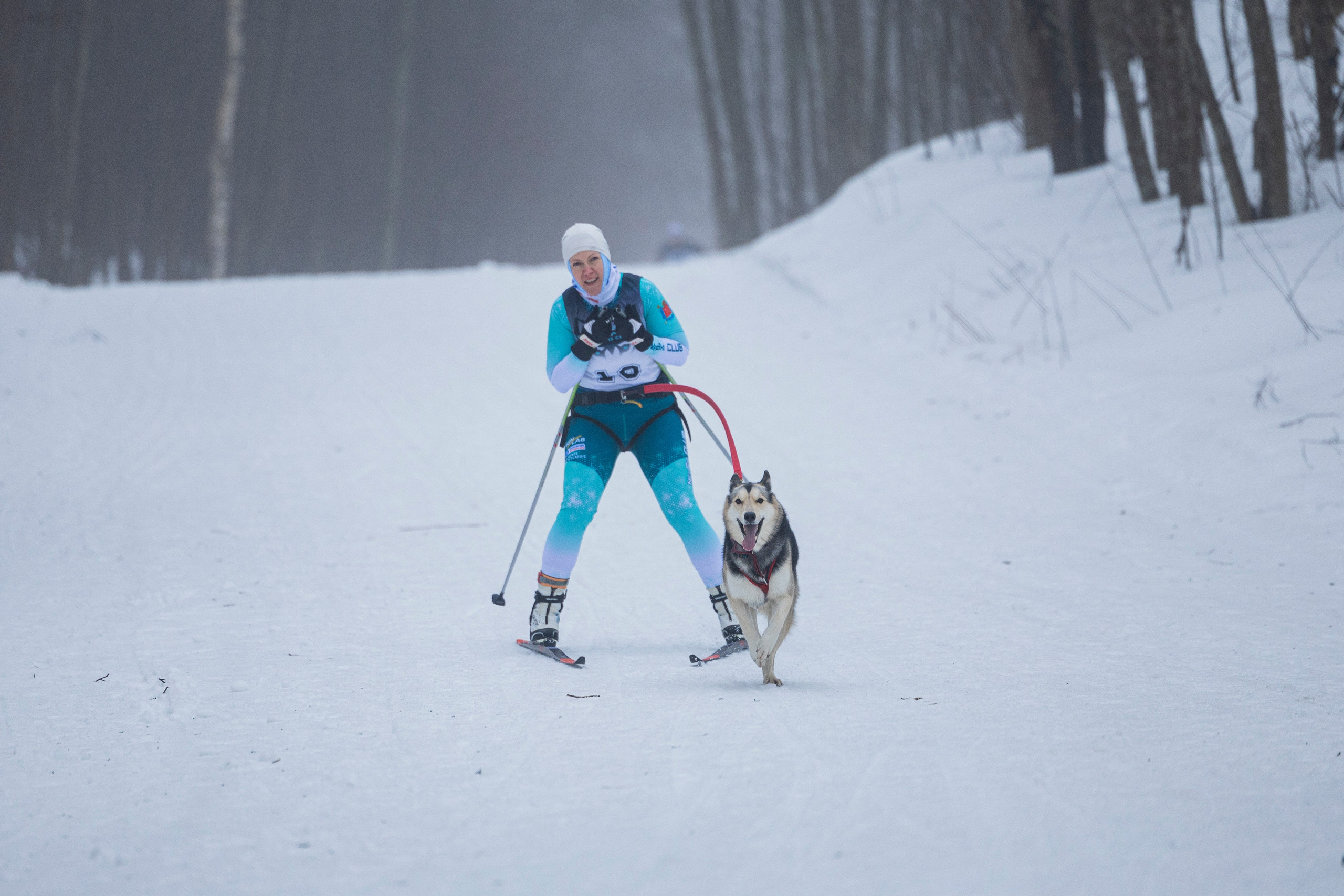 Зимний Чемпионат Санкт-Петербурга по ездовому спорту. Фотограф-анималист Анна Маринич