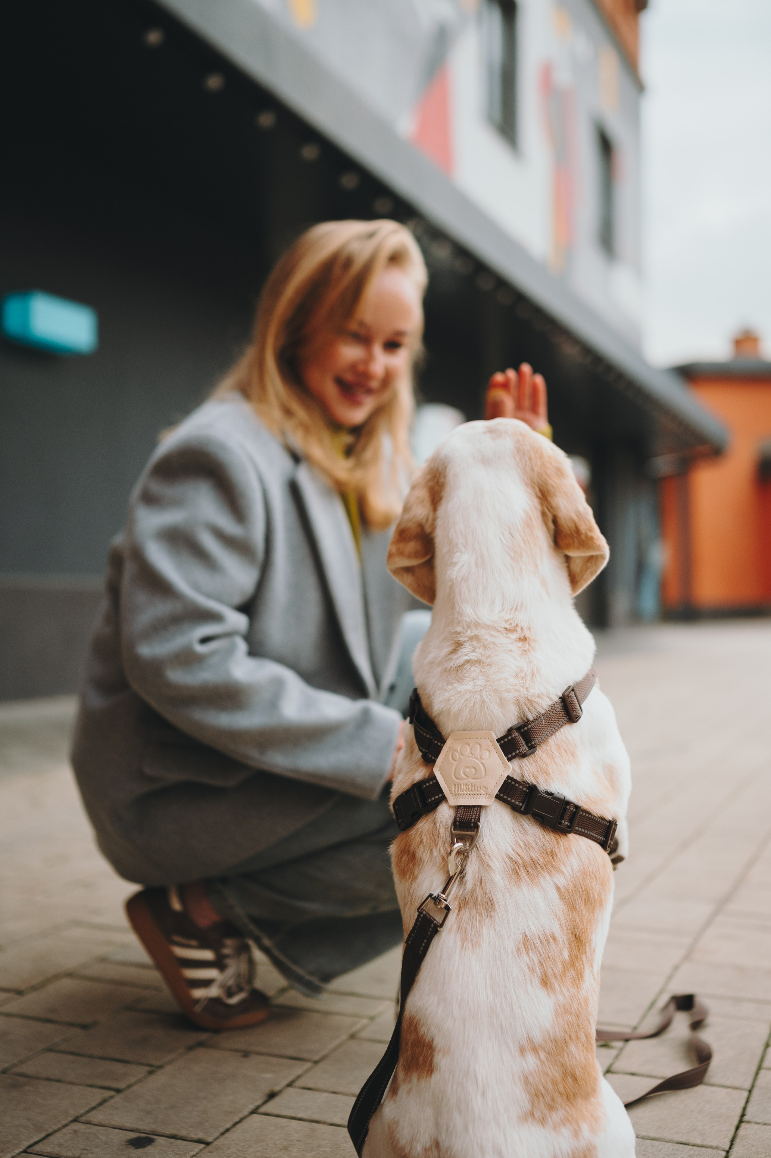 Pawsitive. Семейный фотограф анималист Ананьева Мария — Москва