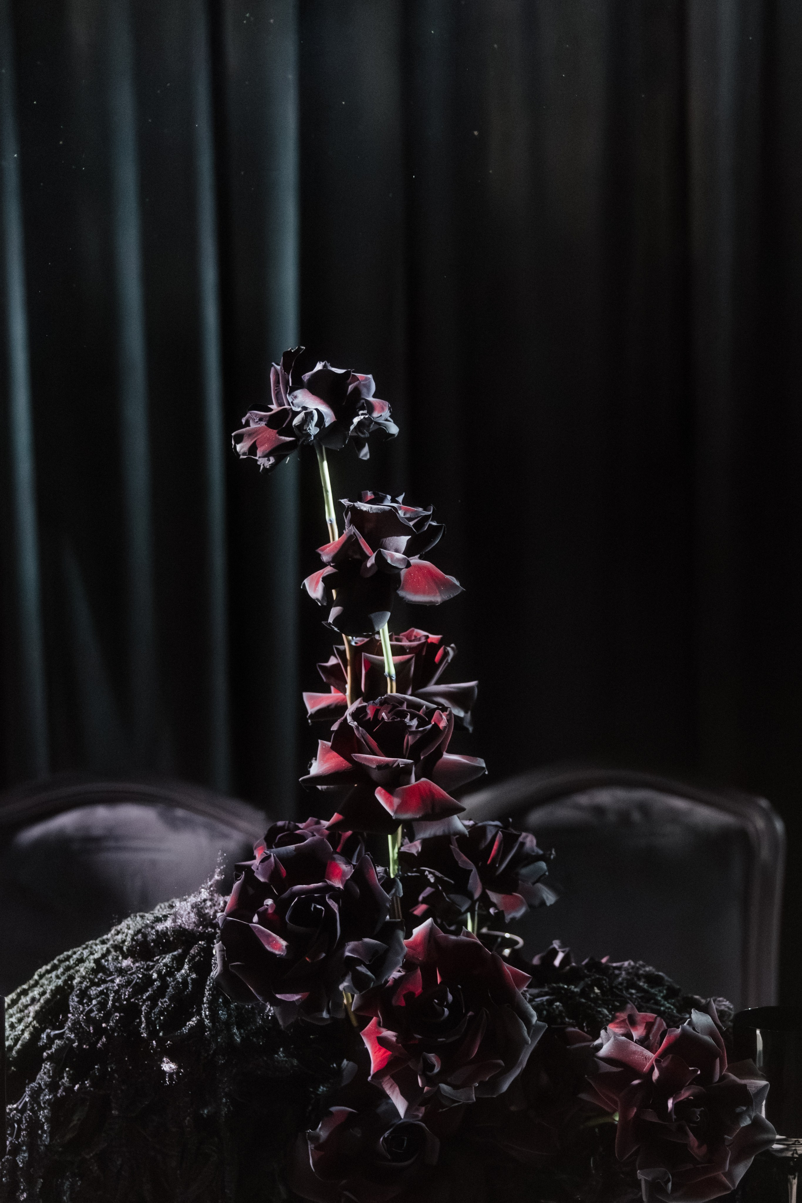 @chili_weddings. Свадебный и репортажный фотограф в Москве Владимир Сергеев | Naysaikolo