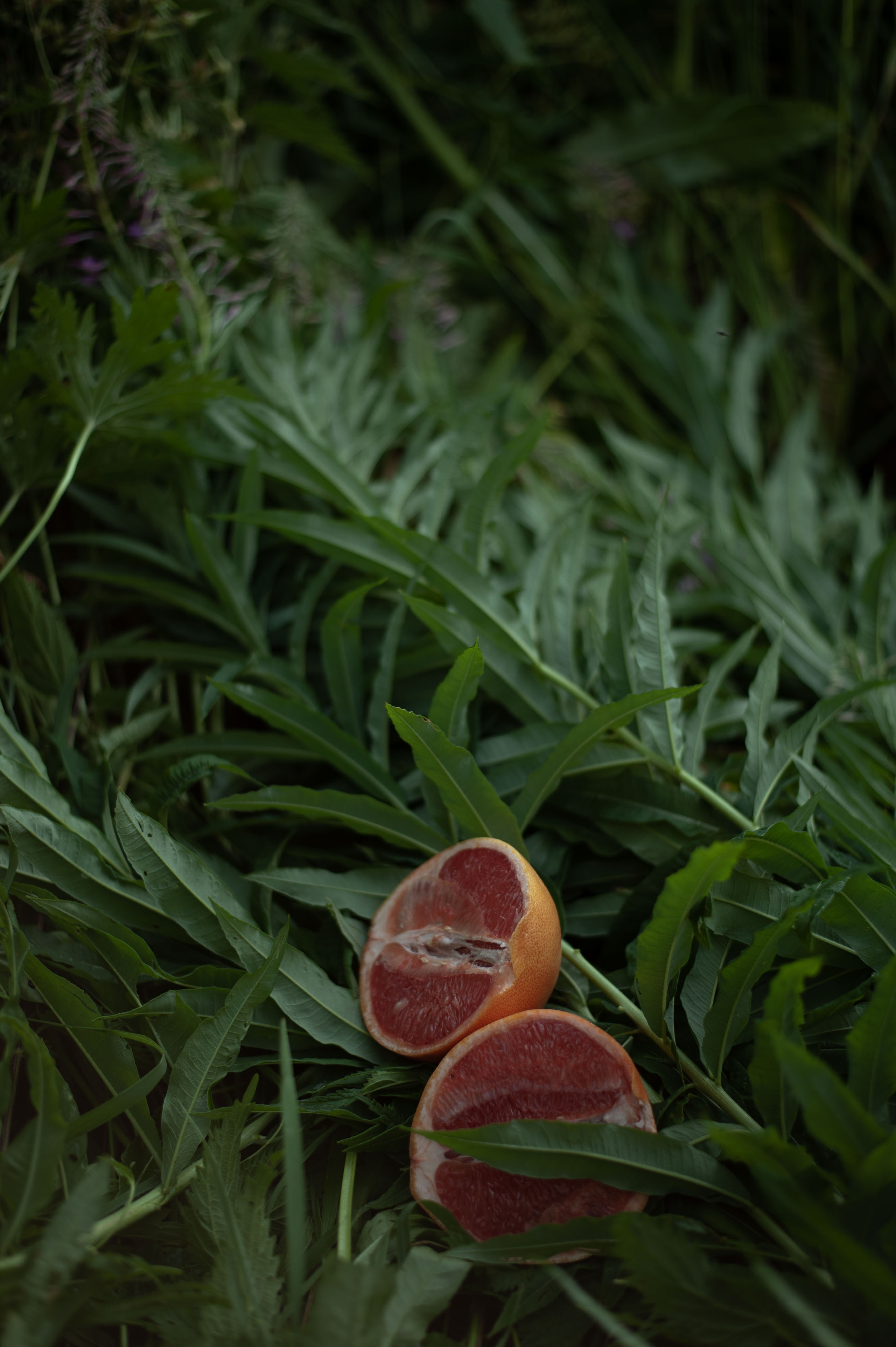 Маша. Дорога. Женский фотограф в Череповце Даша Акулич