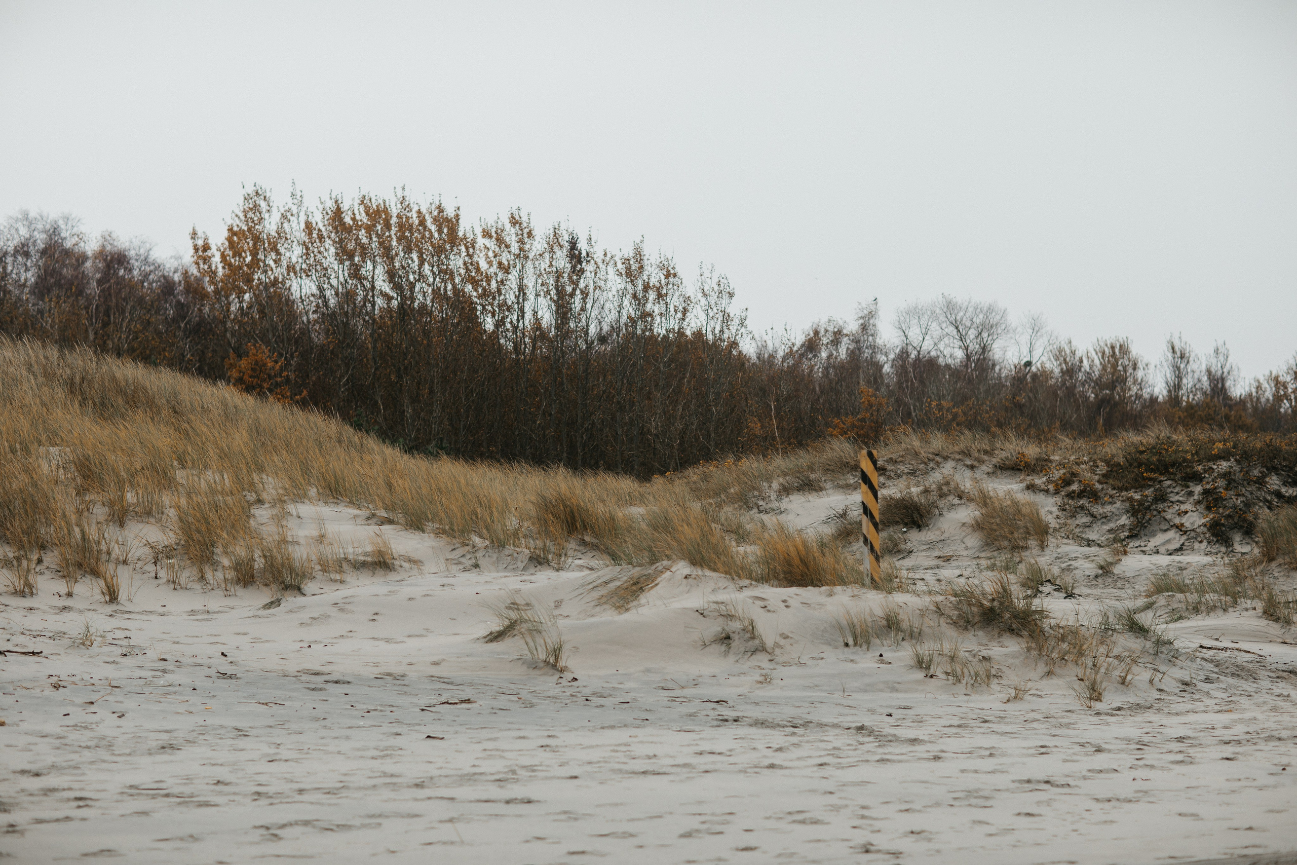 Фотосессия в Балтийске. Https://malovafoto.ru