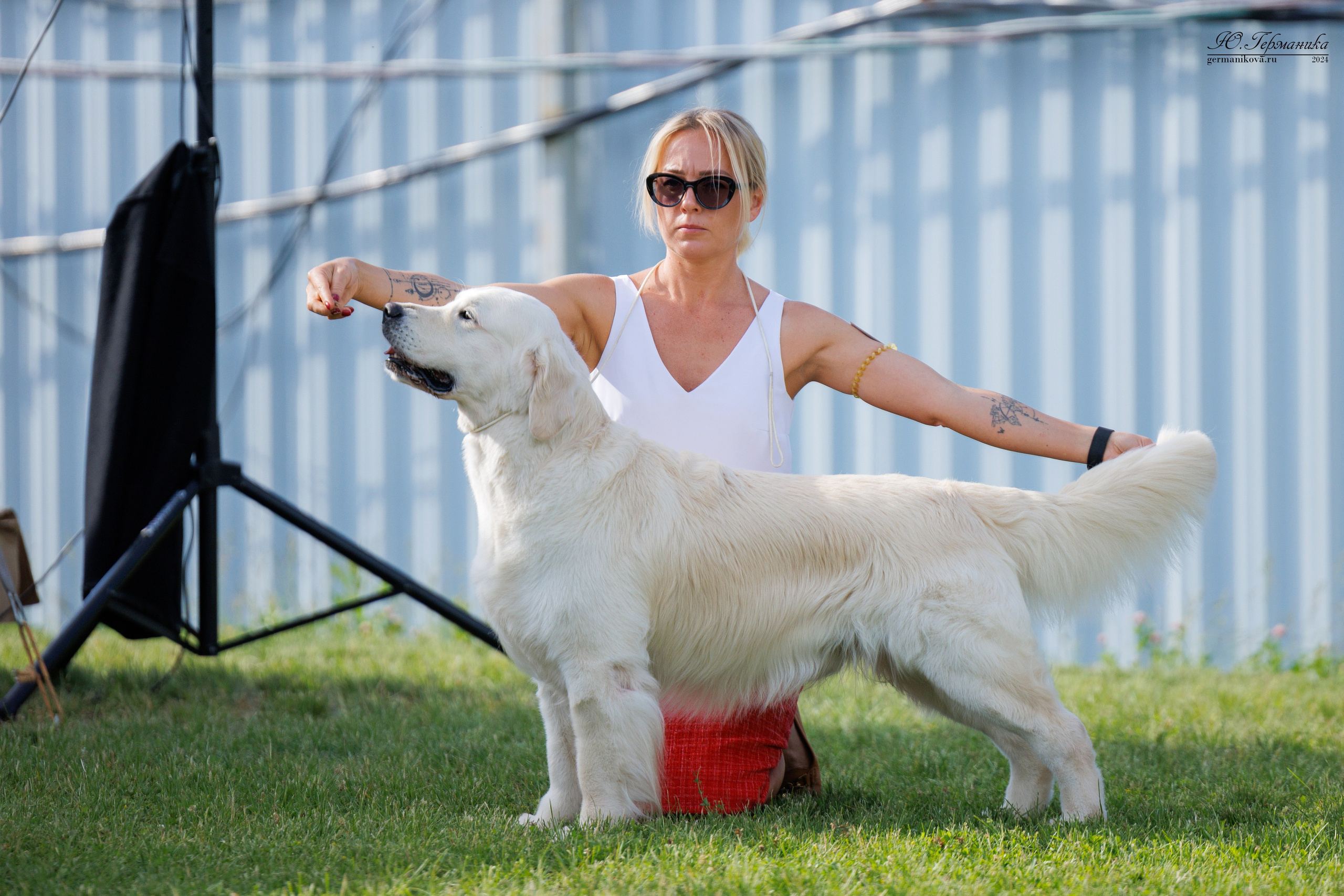 Голдены 15-16.06.2024. Фотограф-анималист Юлия Германика