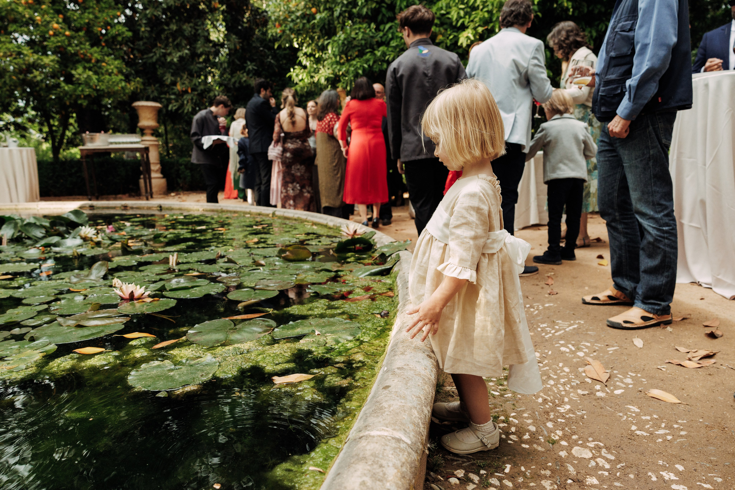 Алим и Беатрис. Свадебный фотограф в Спб Сергей Баланян