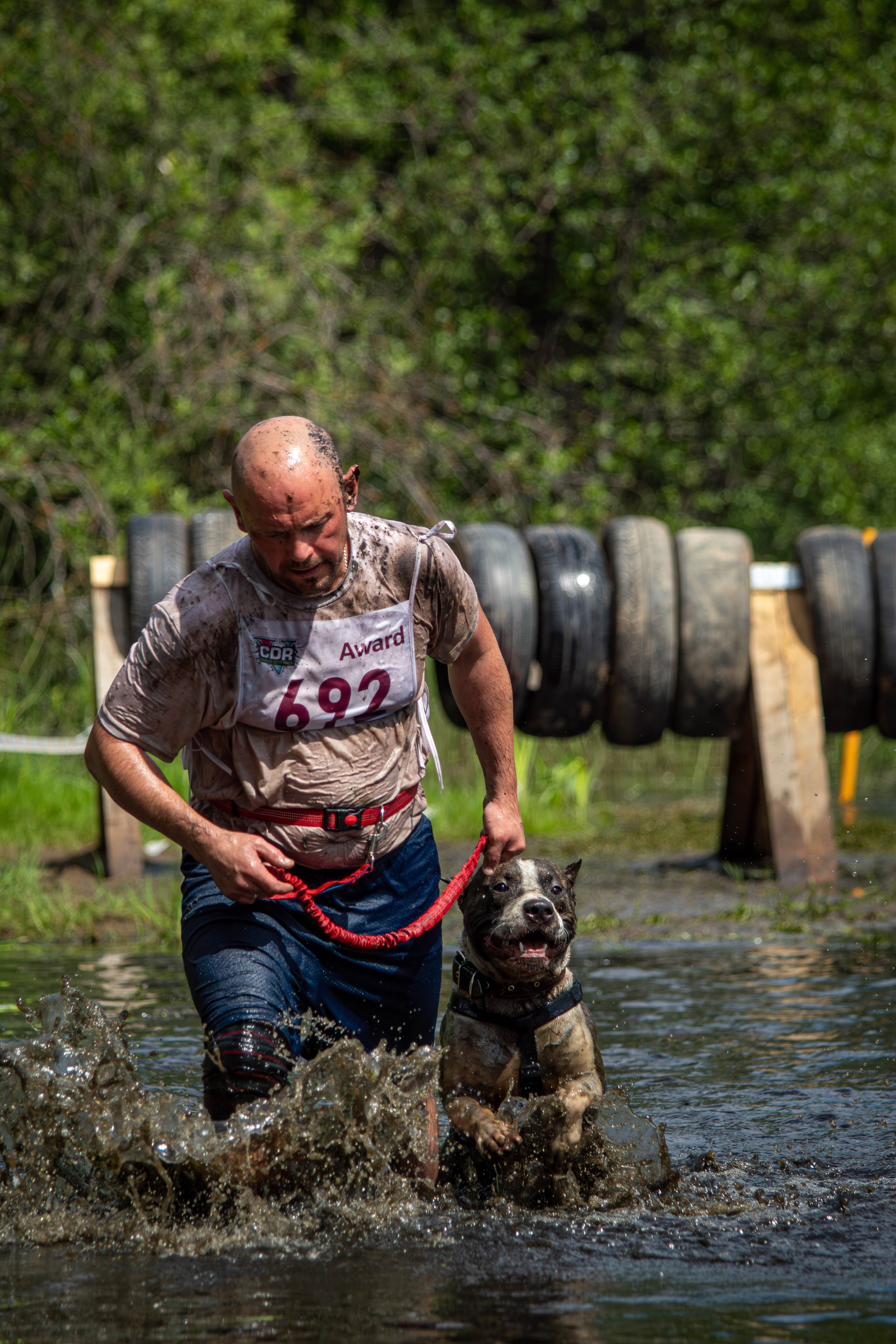 Хвостатый Драйв 2024. Фотограф анималист — Тула, Москва