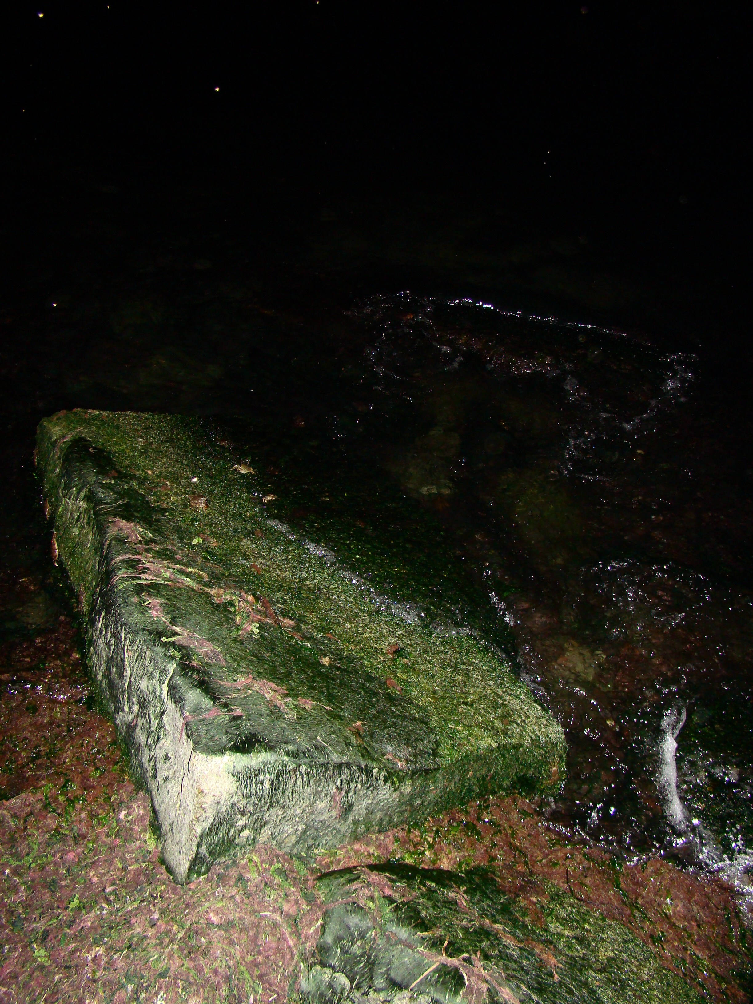 Кабардинка (фото Зевиных) 25.06-24.07.2008. Семейный, Свадебный фотограф СПБ Питер— Романова Екатерина