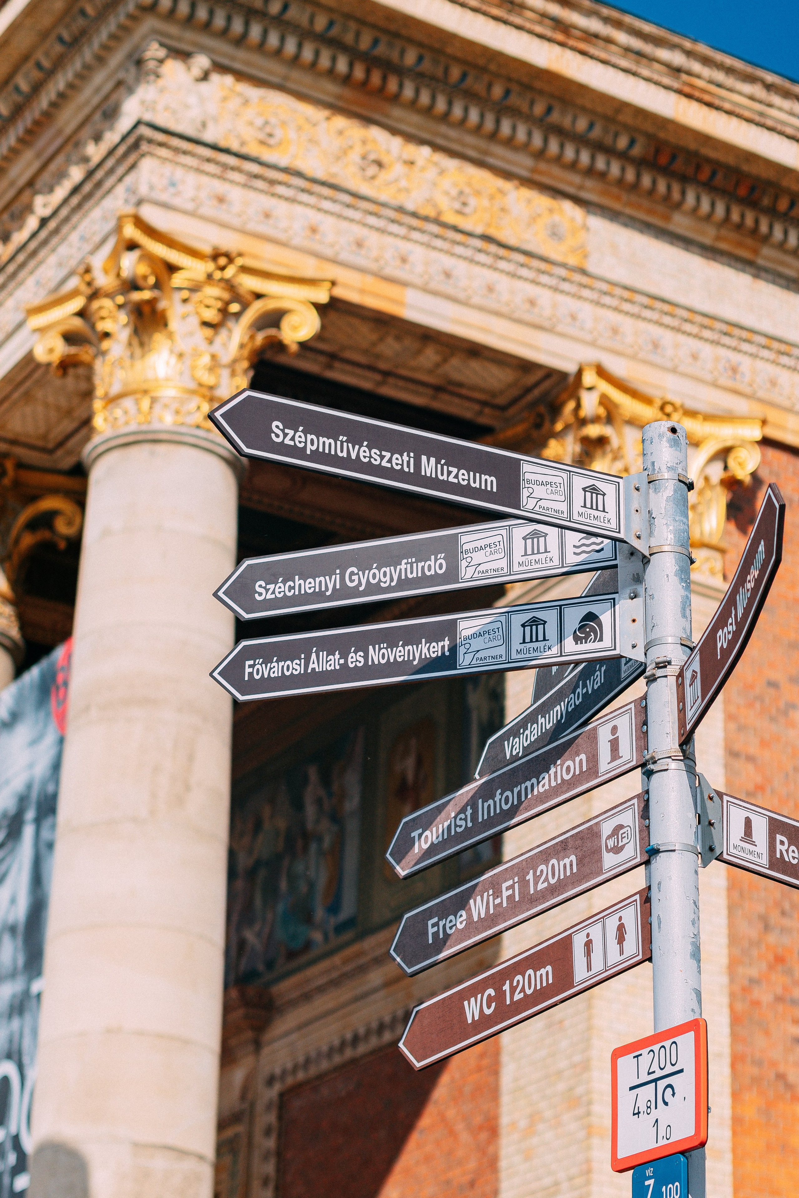 Будапешт. Аня Степанова