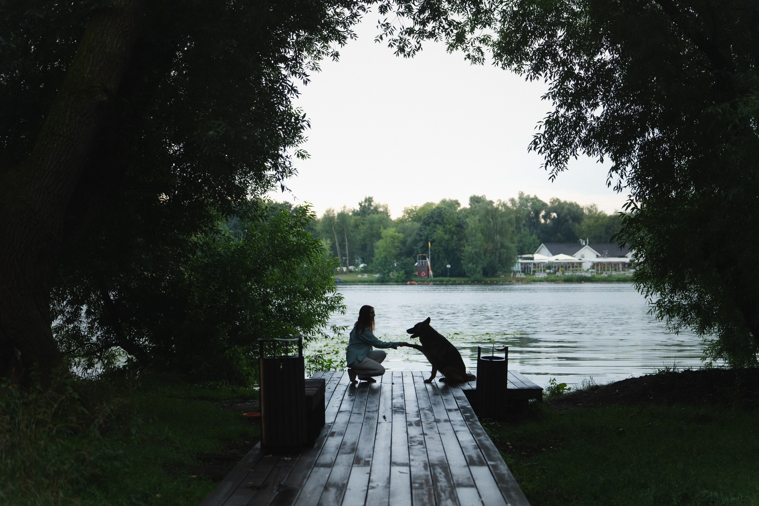 Вика и Фрея. Фотограф анималист в Москве и Санкт-Петербурге Свиридова Анна