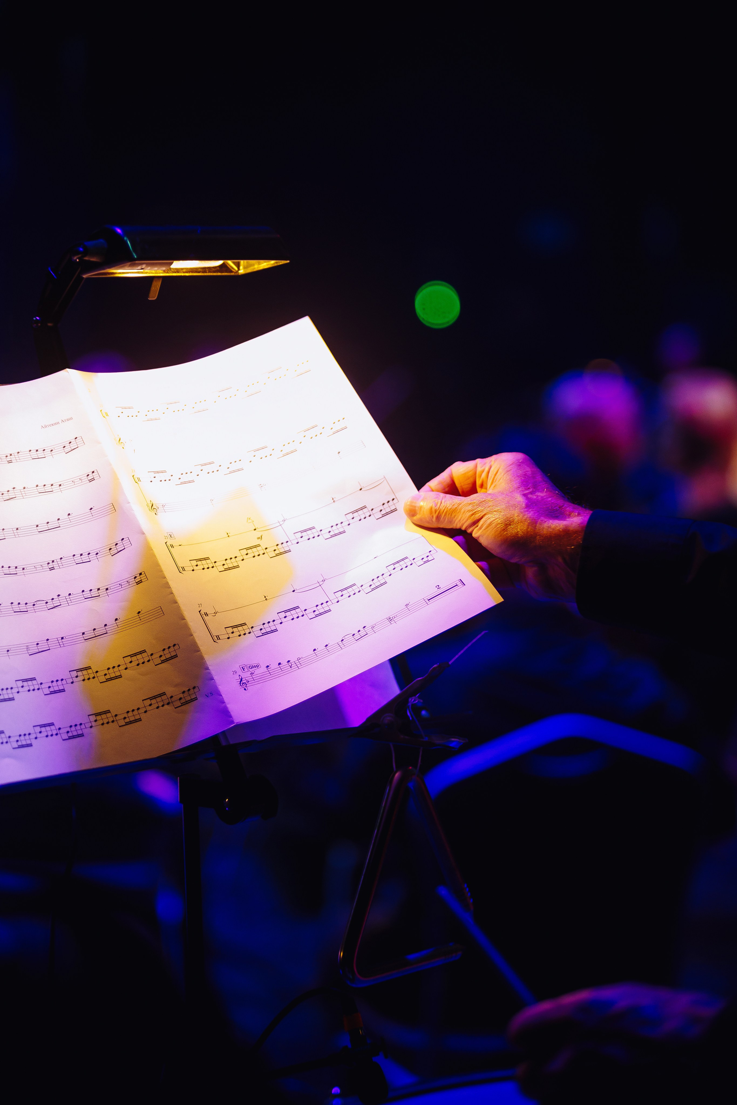 Symphony of the cinema (Turkish TV series) at Amber Hall. KRIS KRUPINNIKOVA