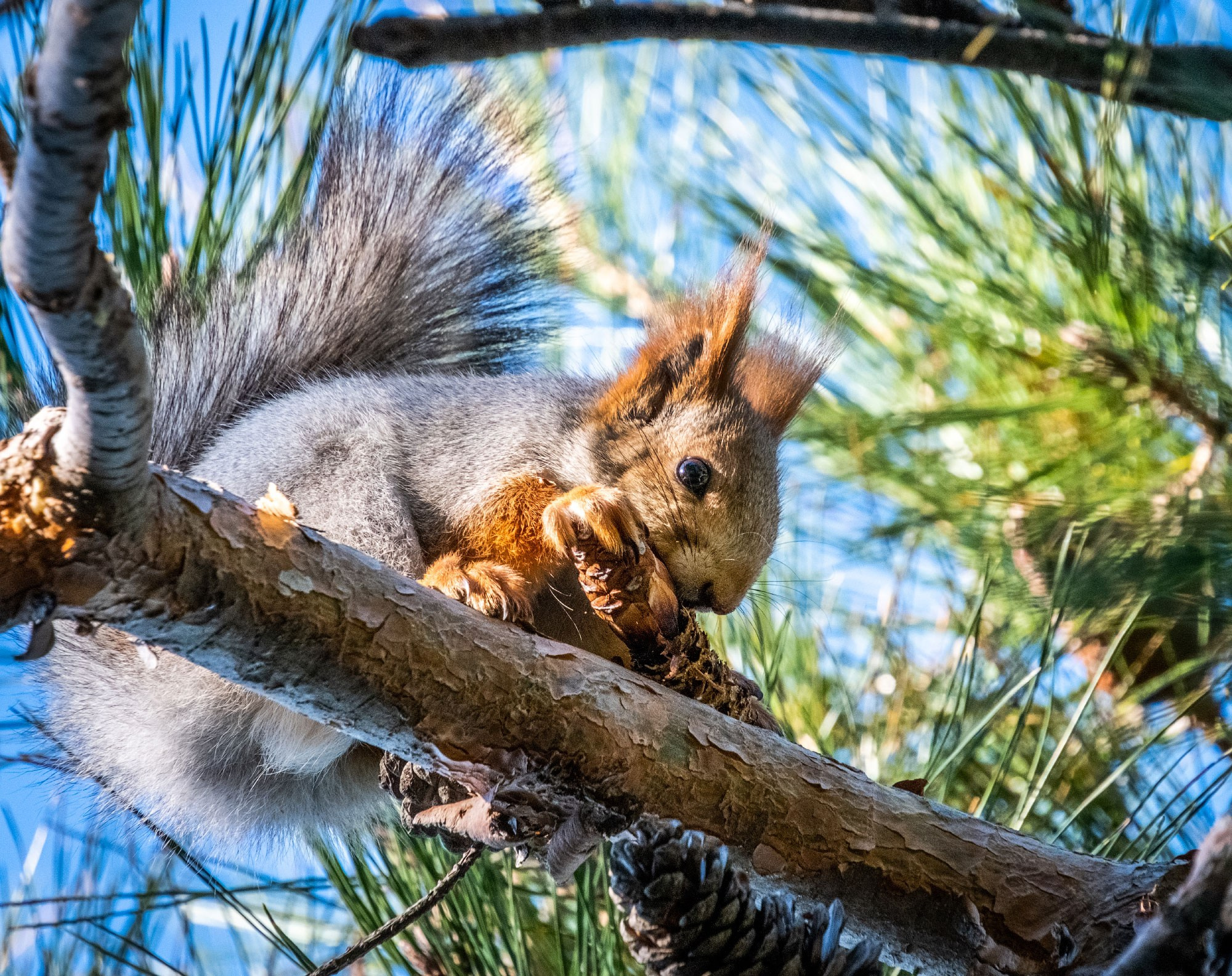 О море, людях и городе