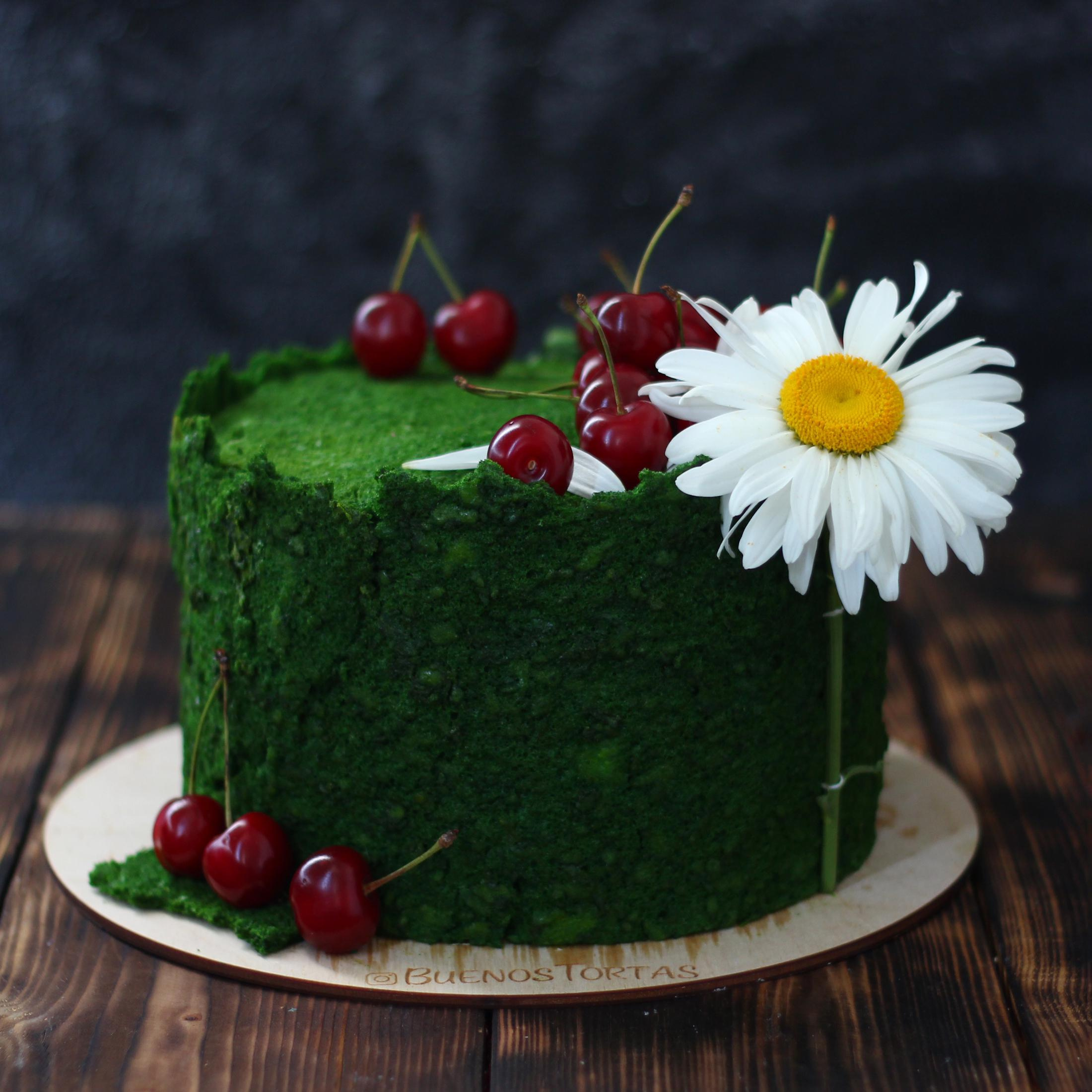 Варианты женских бисквитных тортов. Кондитер Наталья Ташматова