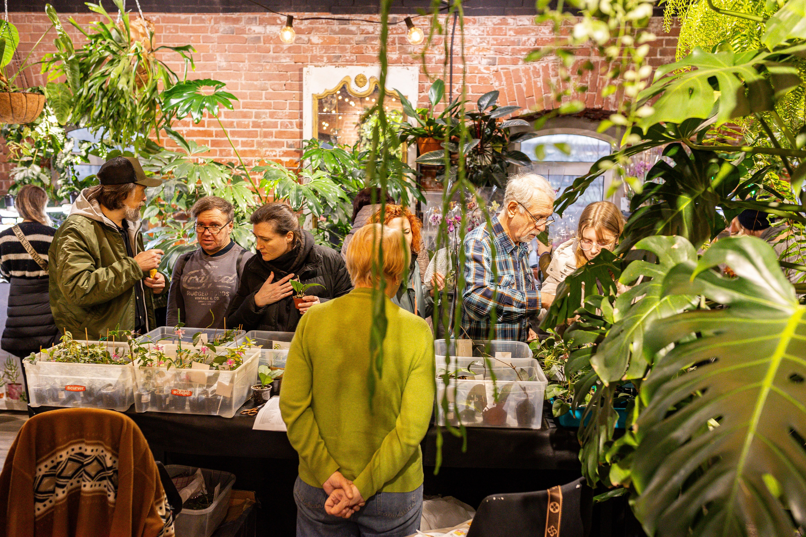 Green_Rare Ярмарка февраль 2025. Александра Куликова фотограф, Москва