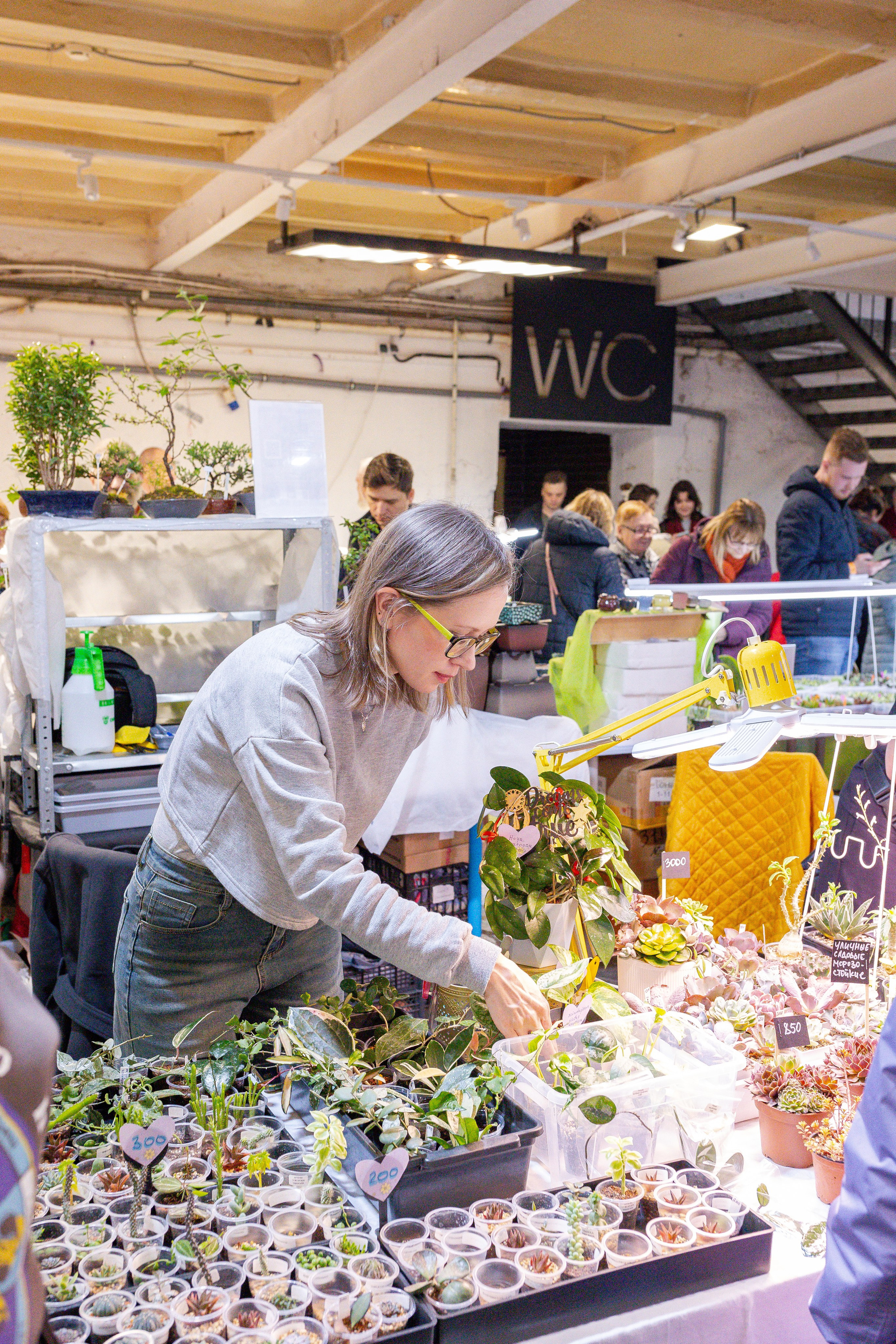 Кактус Фест. Александра Куликова фотограф, Москва
