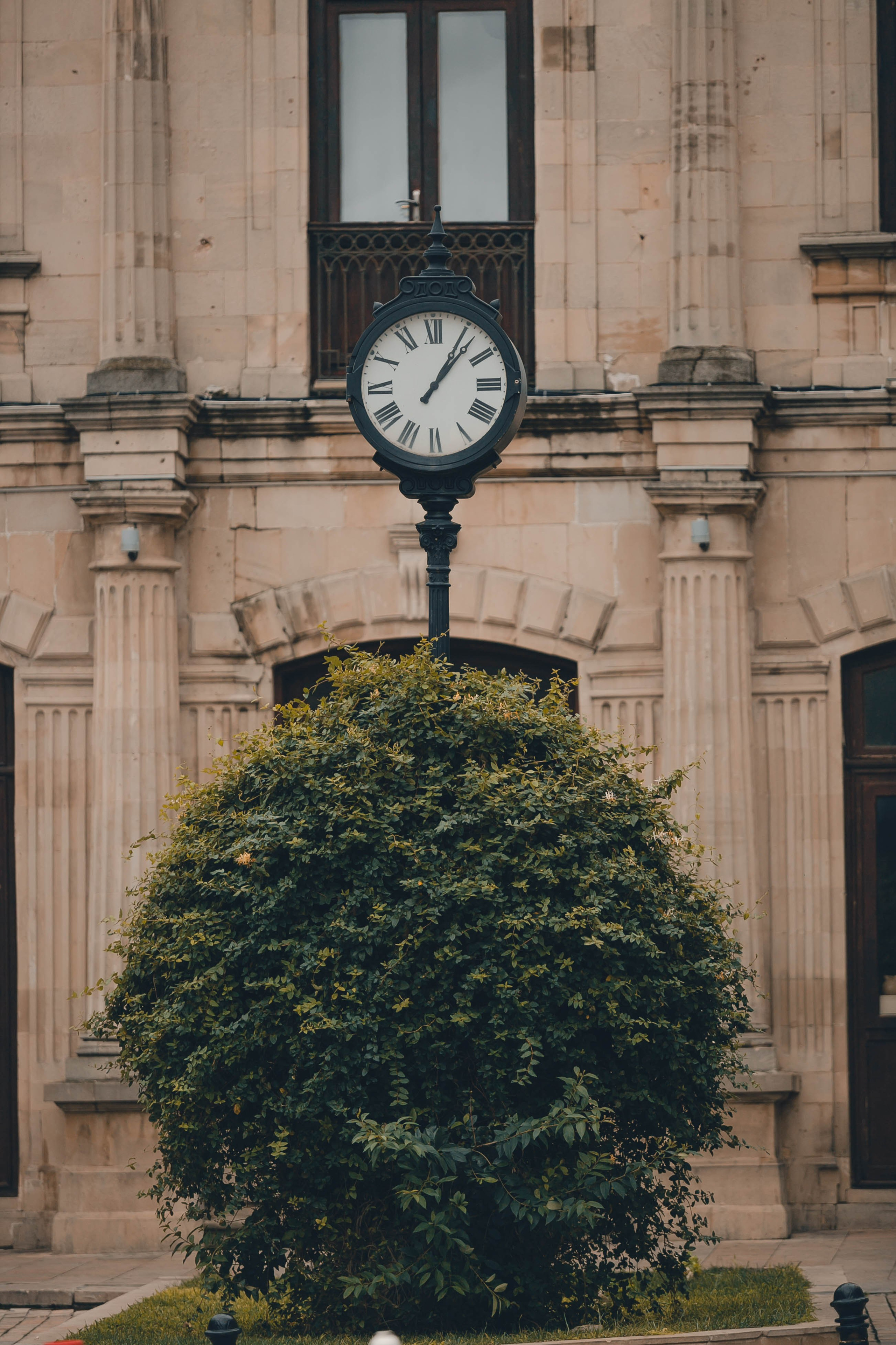Майсы. Репортажный фотограф Андрей Герасимов