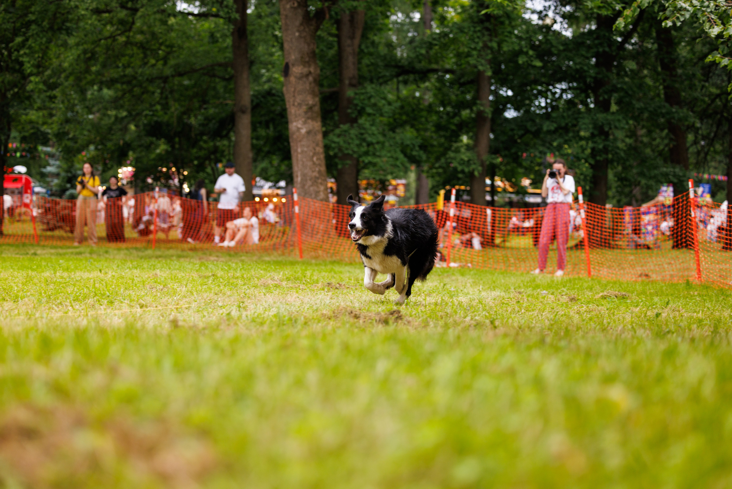 PetShopDays2026. Фотограф Александр Заломаев
