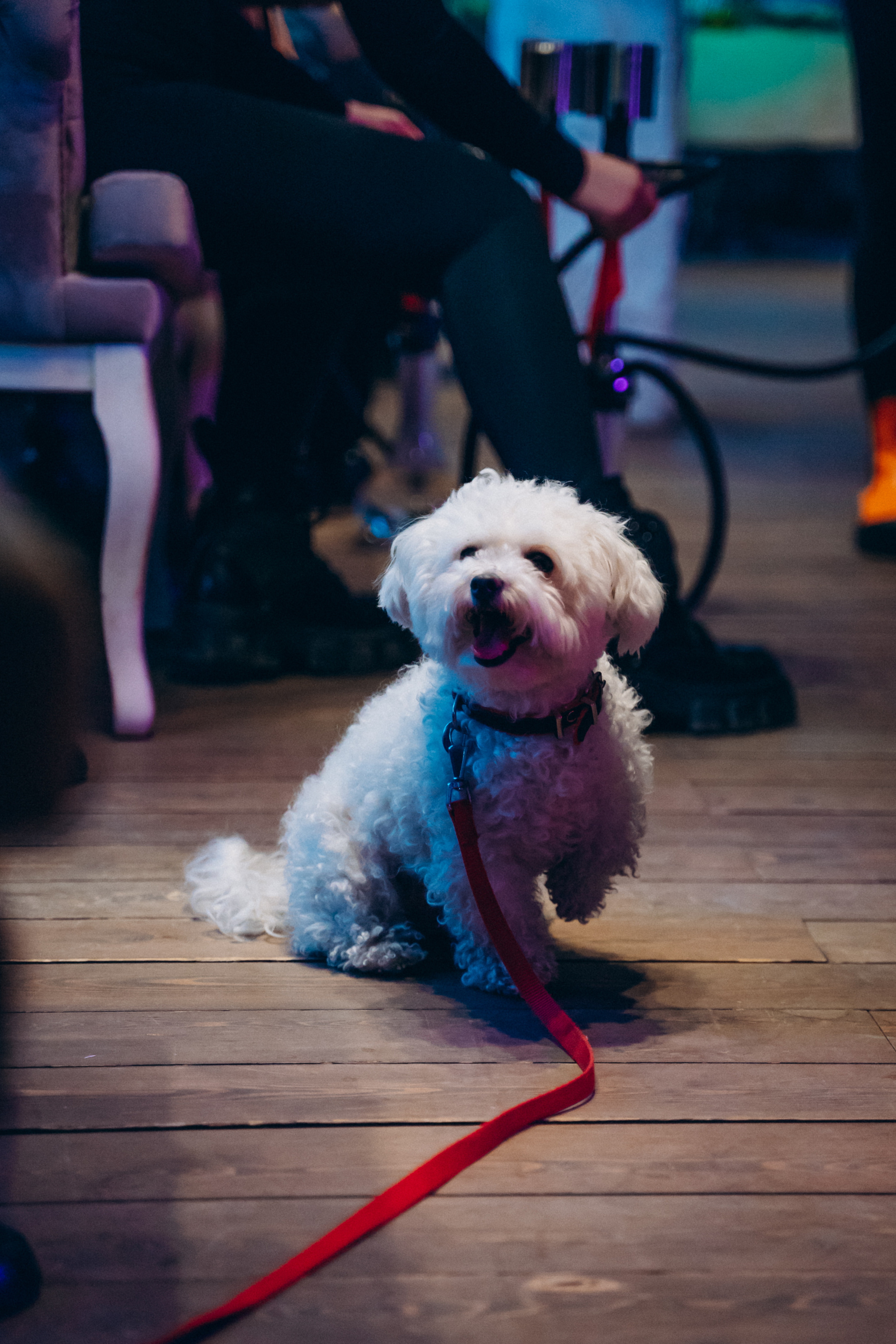 День рождения в ресторане Сытый лось. FOTOZ Studio / Фотовидеомейкер Андрей Смирнов