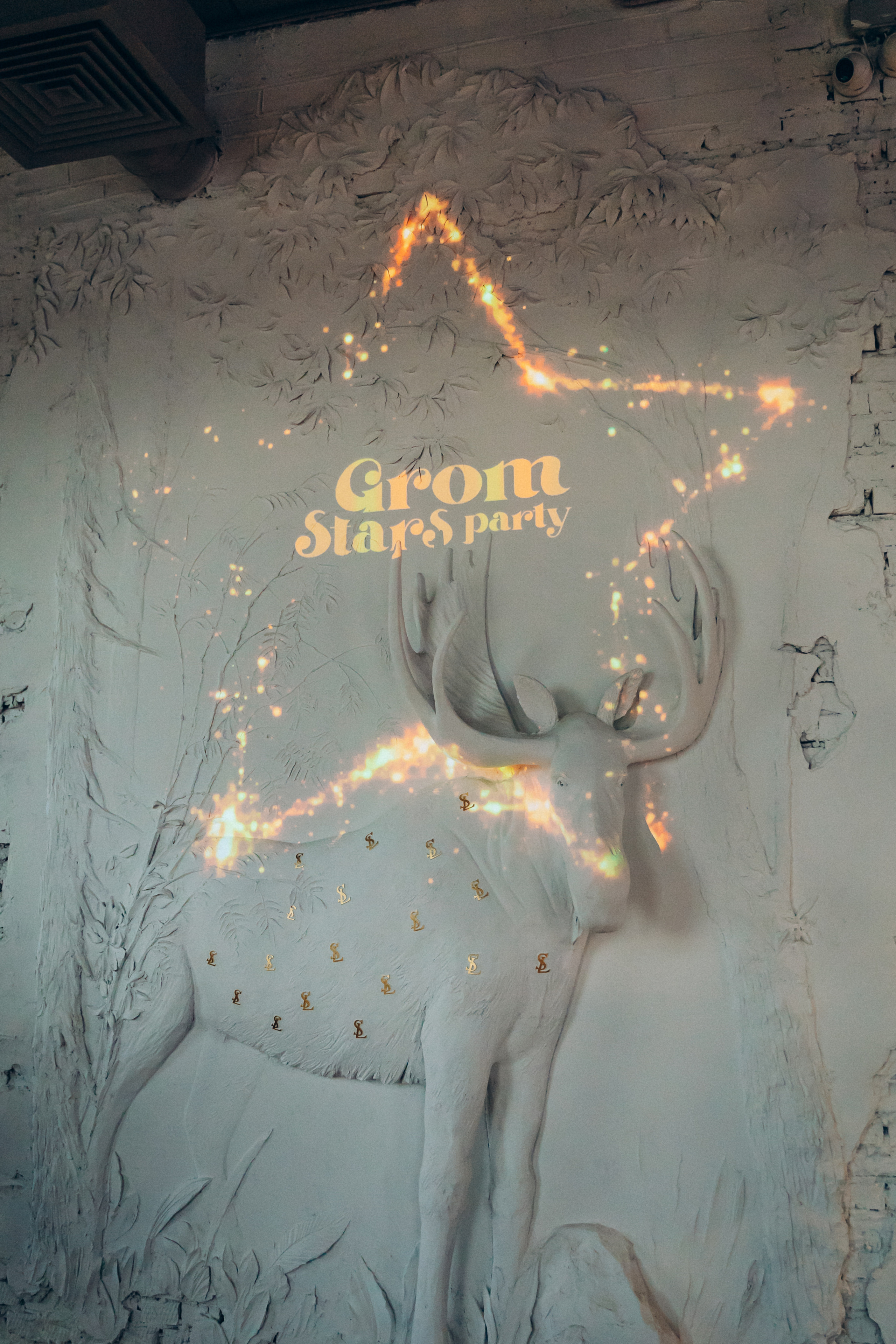 День рождения в ресторане Сытый лось. FOTOZ Studio / Фотовидеомейкер Андрей Смирнов