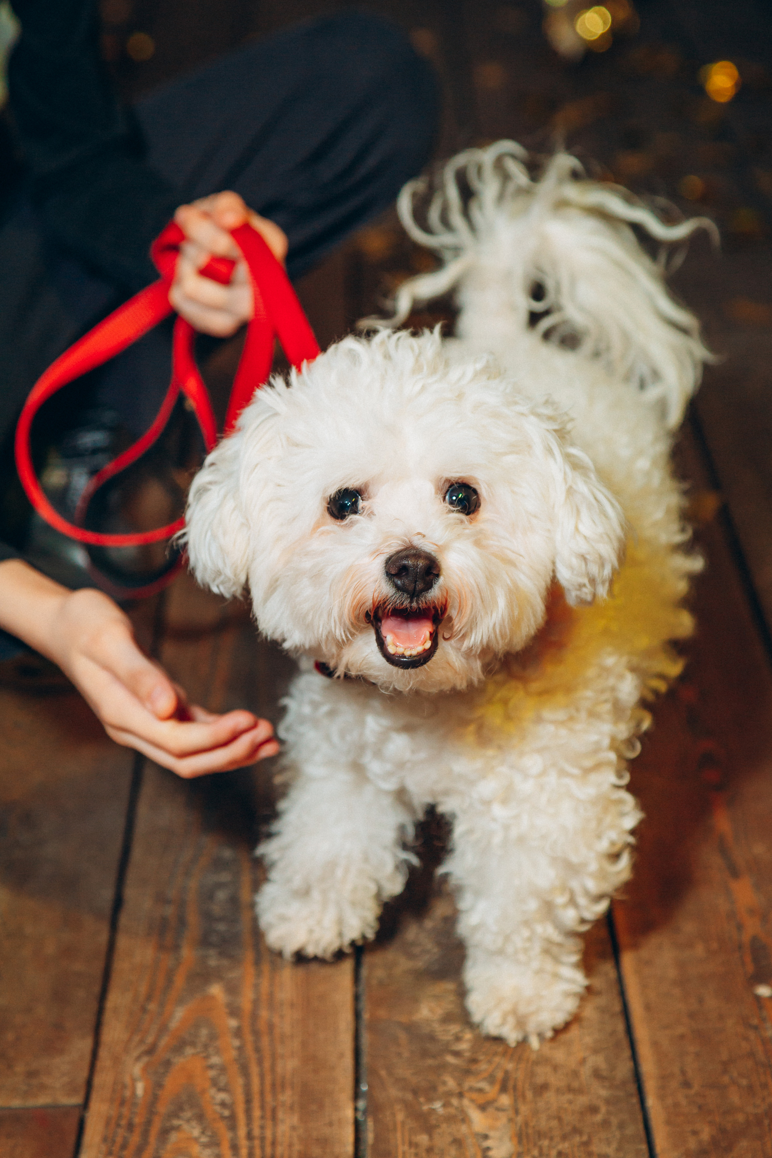 День рождения в ресторане Сытый лось. FOTOZ Studio / Фотовидеомейкер Андрей Смирнов