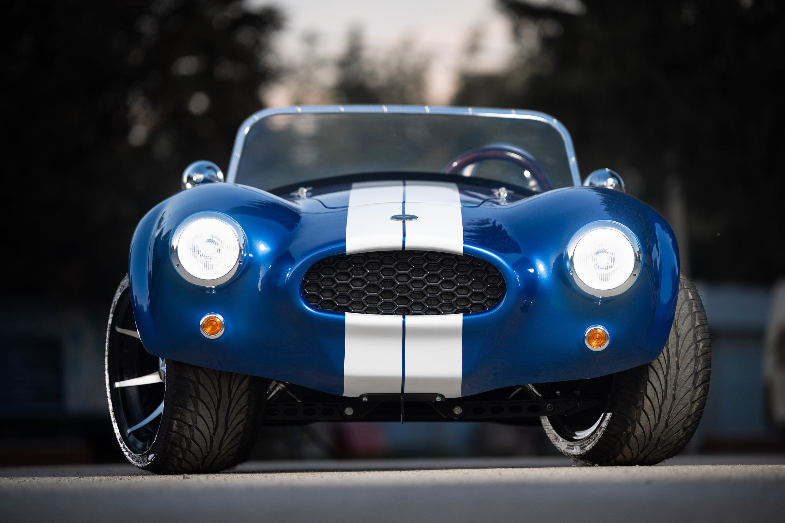 Cobra Mini. Фотограф и видеооператор в Туле | Даниил Рыбак