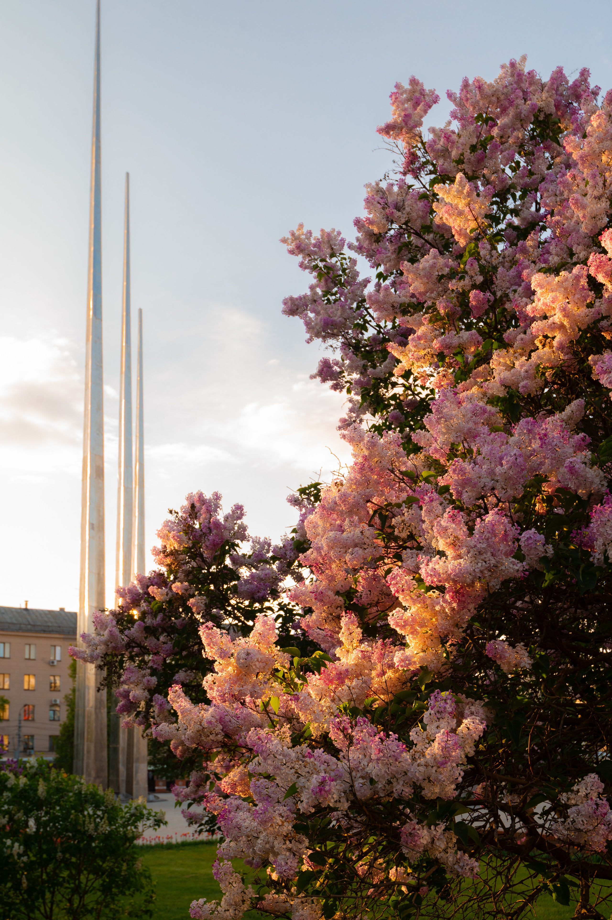 Площадь Победы. Фотограф и видеооператор в Туле | Даниил Рыбак