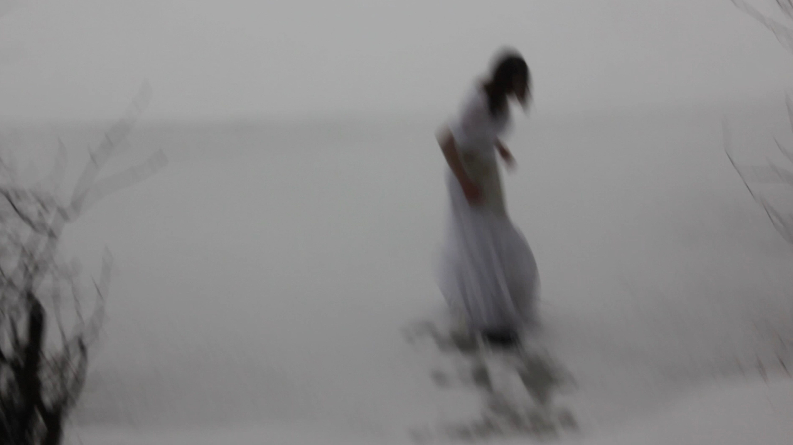 ЛЕД. Художественная группа «Нежные Бабы»