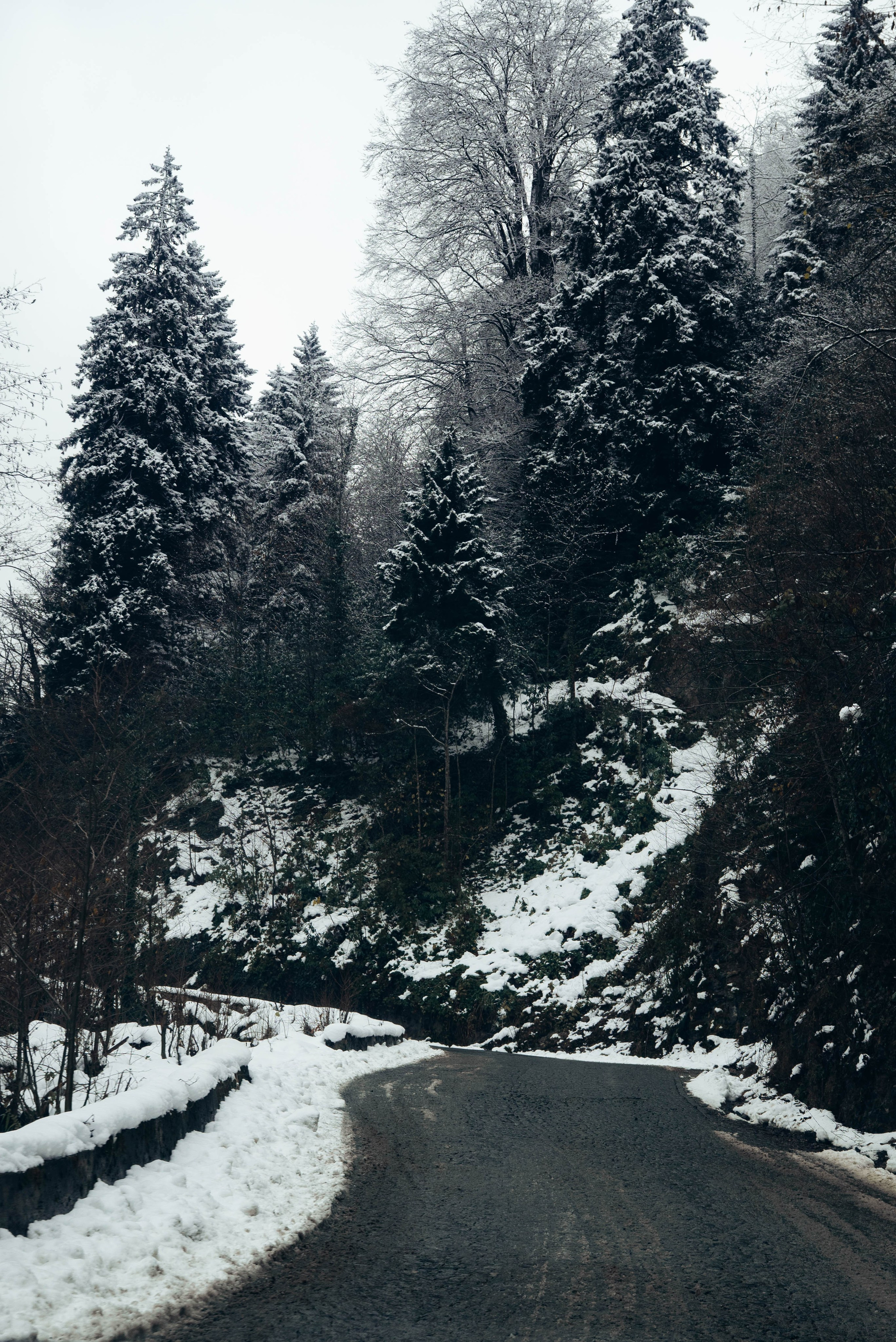 Ризе. Анна Лобанова | фотограф