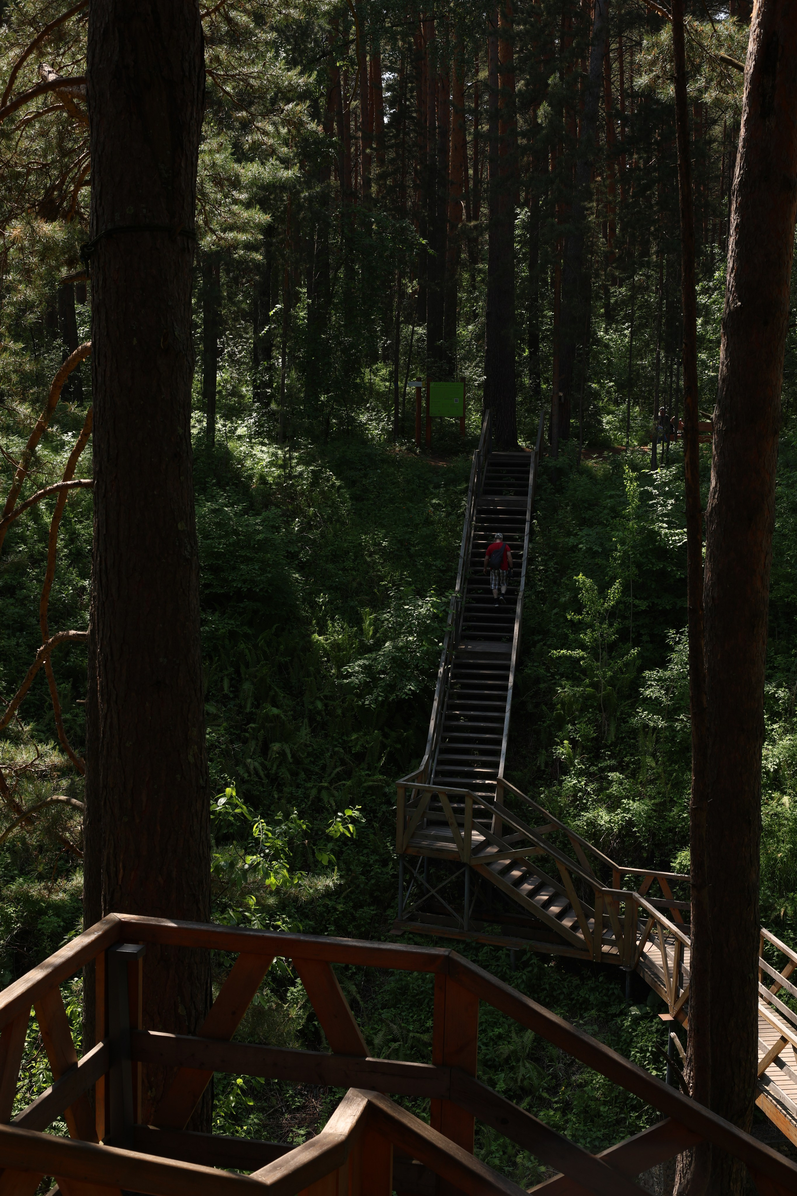 ПОЙМАЛА. Фотограф Красноярск съемки лавстори, фотосессия в студии, портретная съемка, творческие фотосессии
